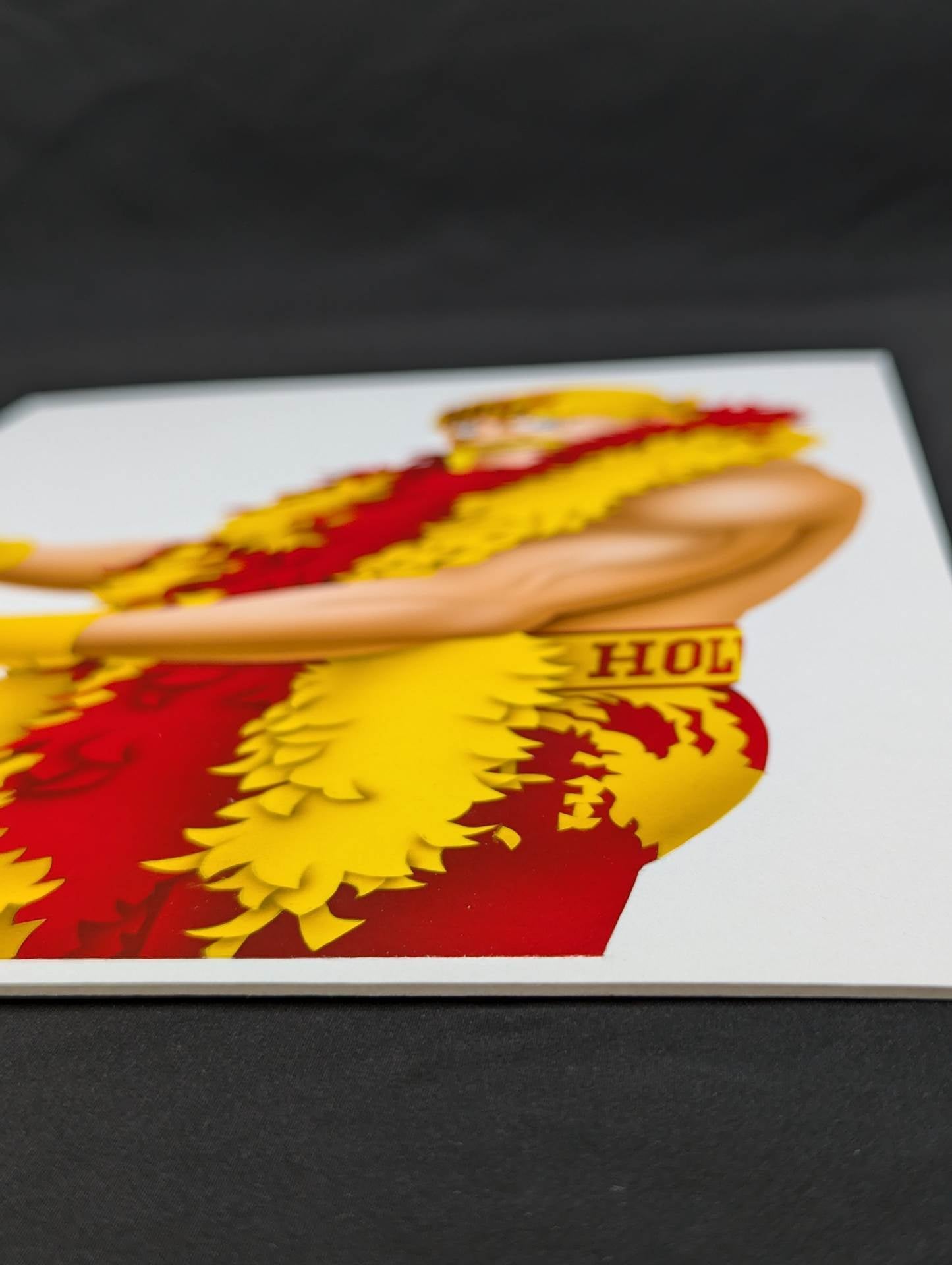 ★ Nagatoshi Sakai 's original painting "★ Superman" Hulk Hogan
