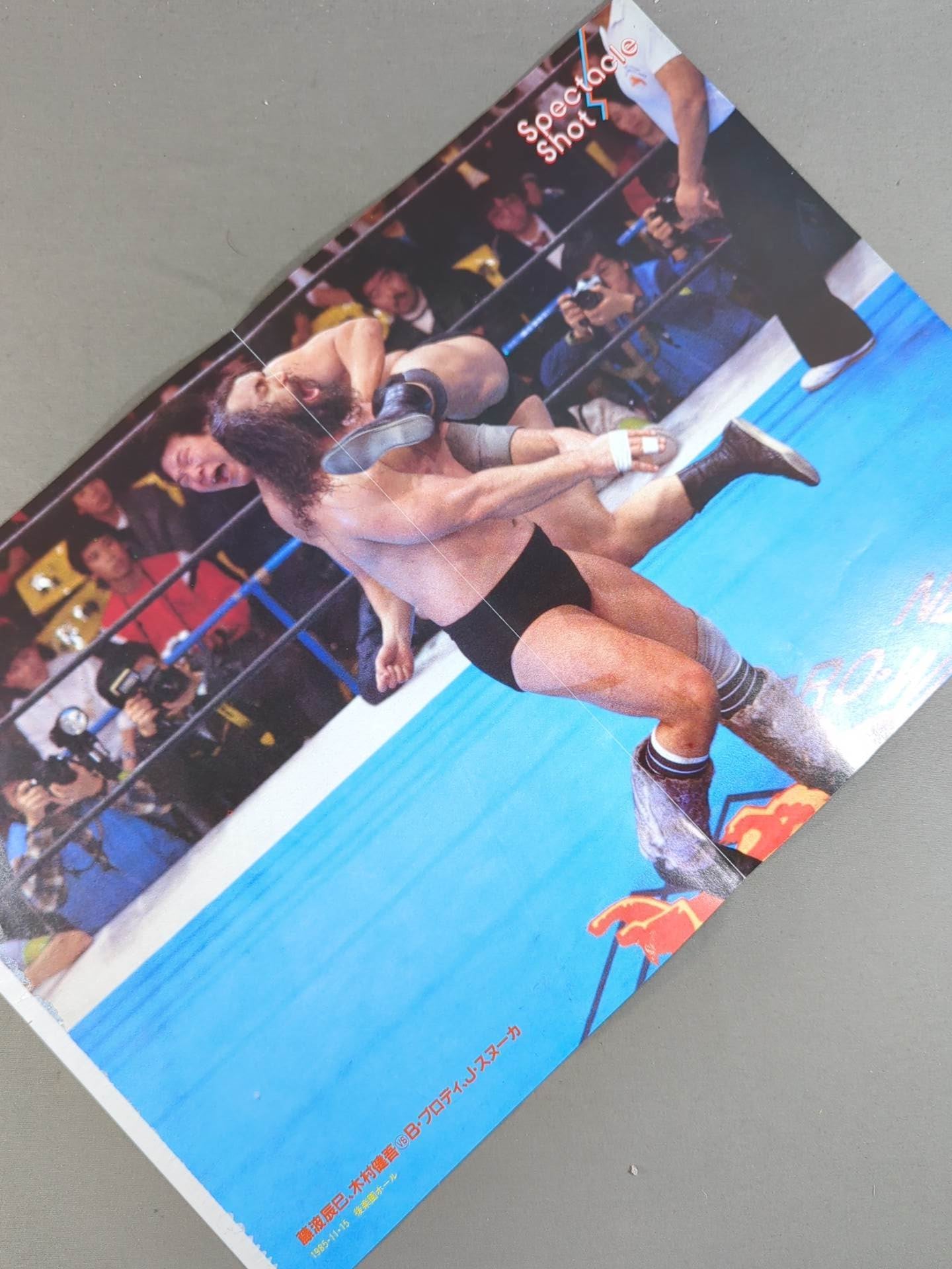 El Canek & Dos Caras Magazine Appendix Pin-Up