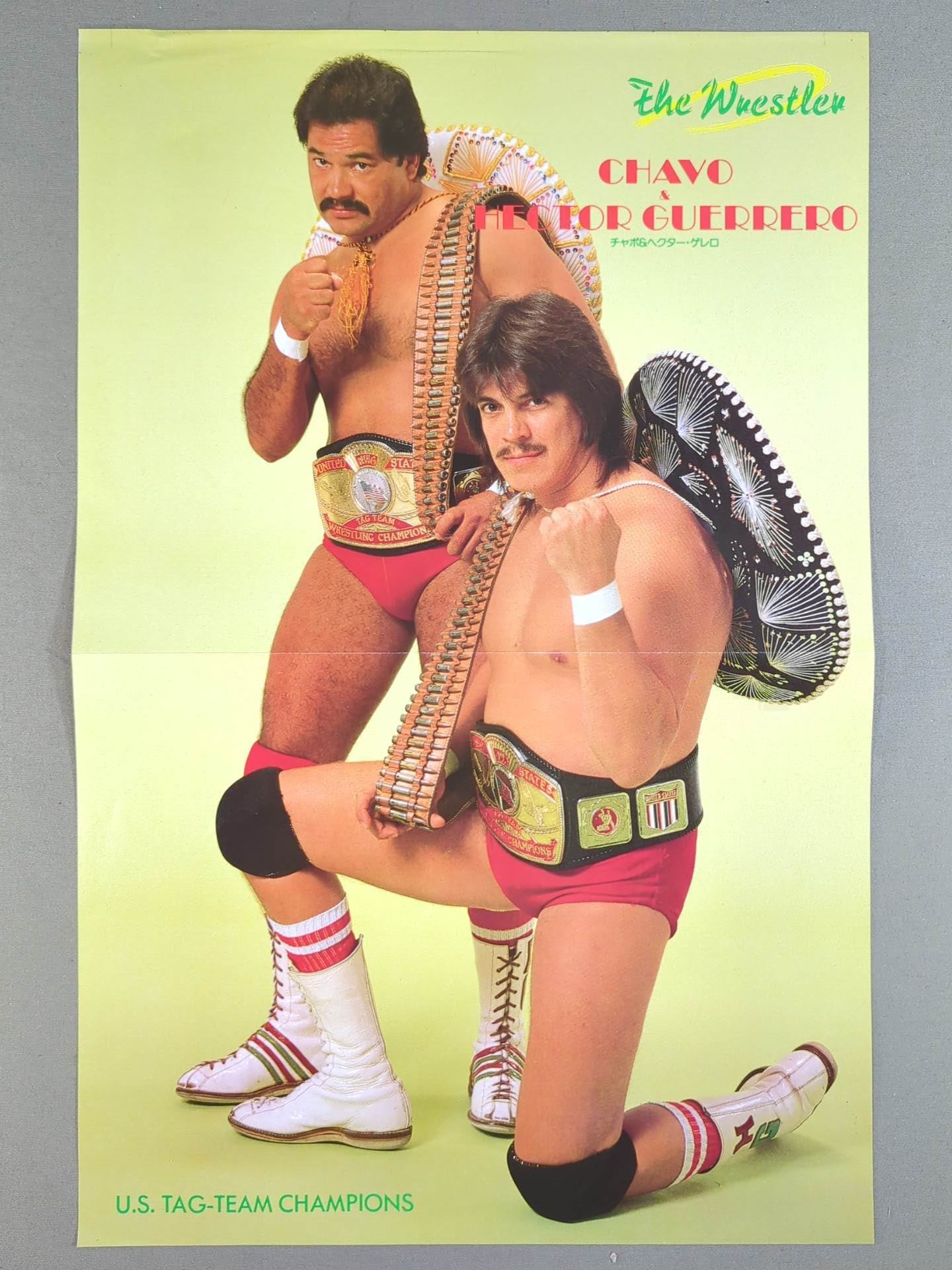 The Road Warriors Magazine Appendix Pin-Up (1)