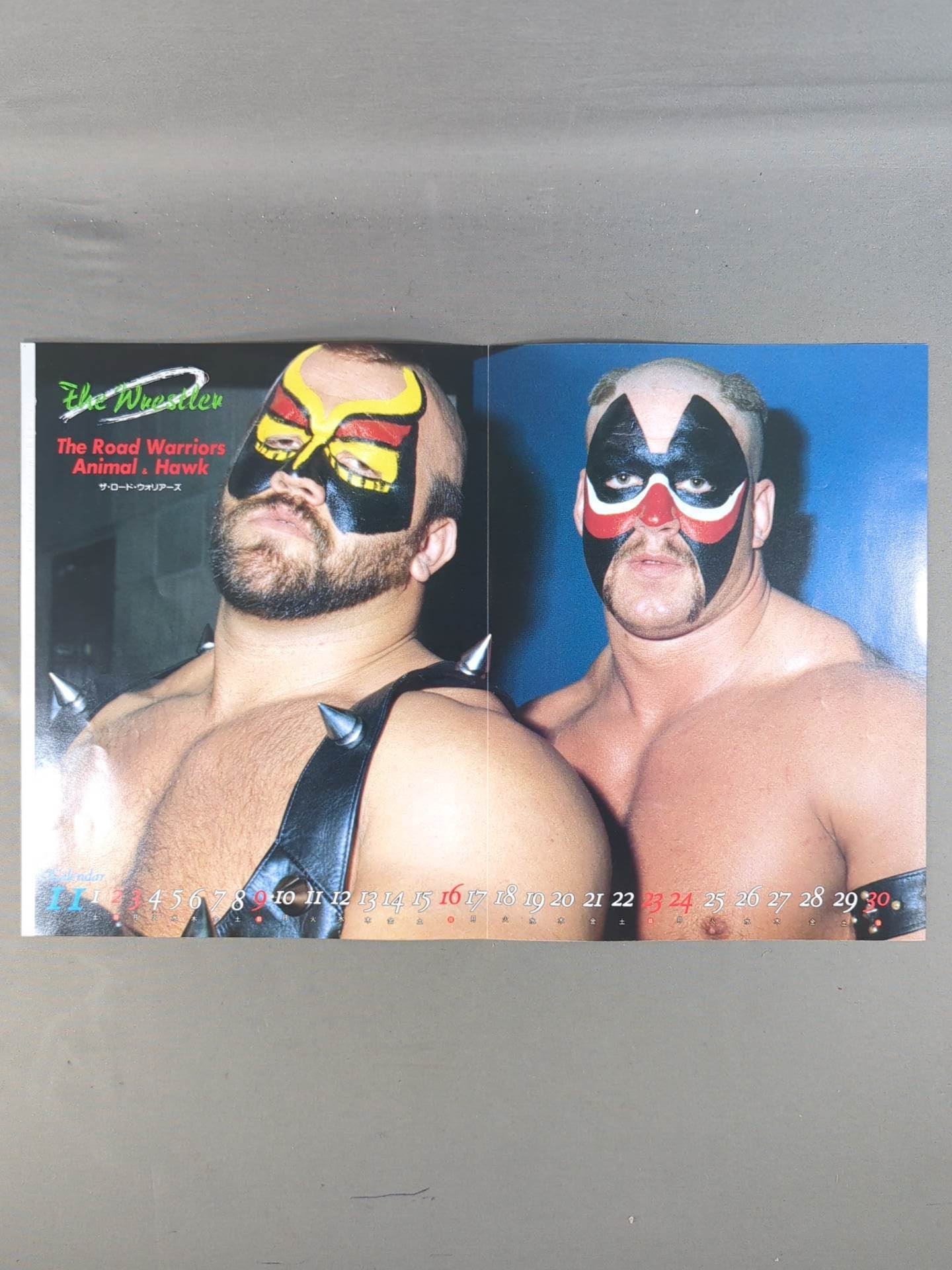 The Road Warriors Magazine Appendix Pin-Up (2)
