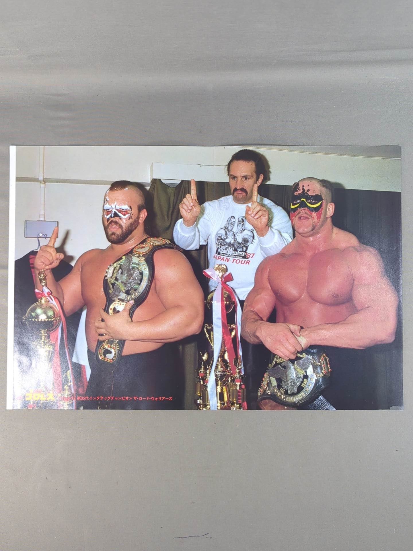 The Road Warriors Magazine Appendix Pin-Up (3)
