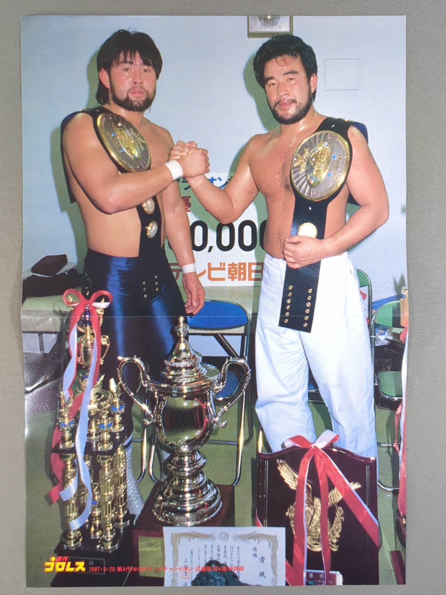 The Road Warriors Magazine Appendix Pin-Up (3)