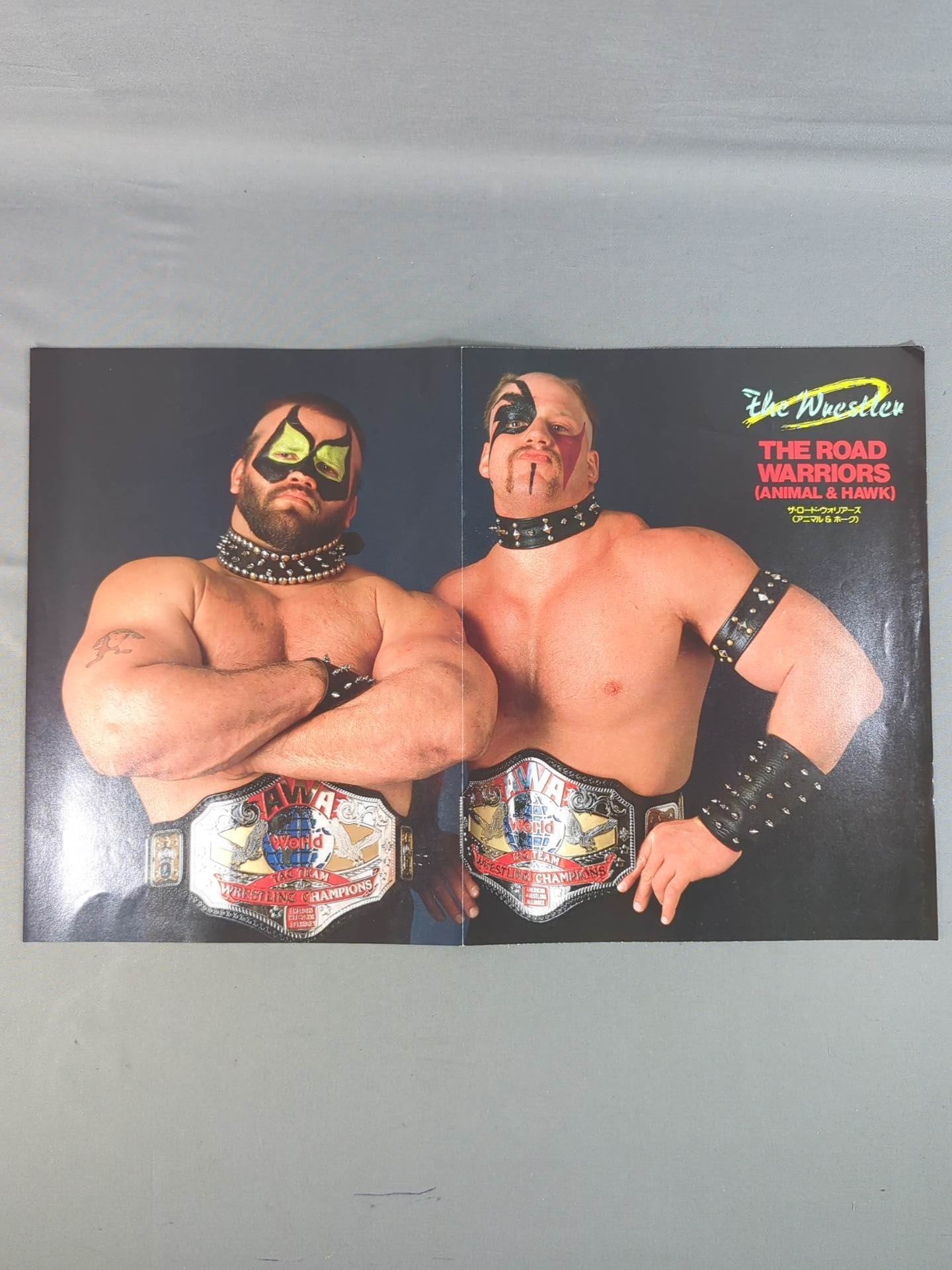 The Road Warriors Magazine Appendix Pin-Up (4)