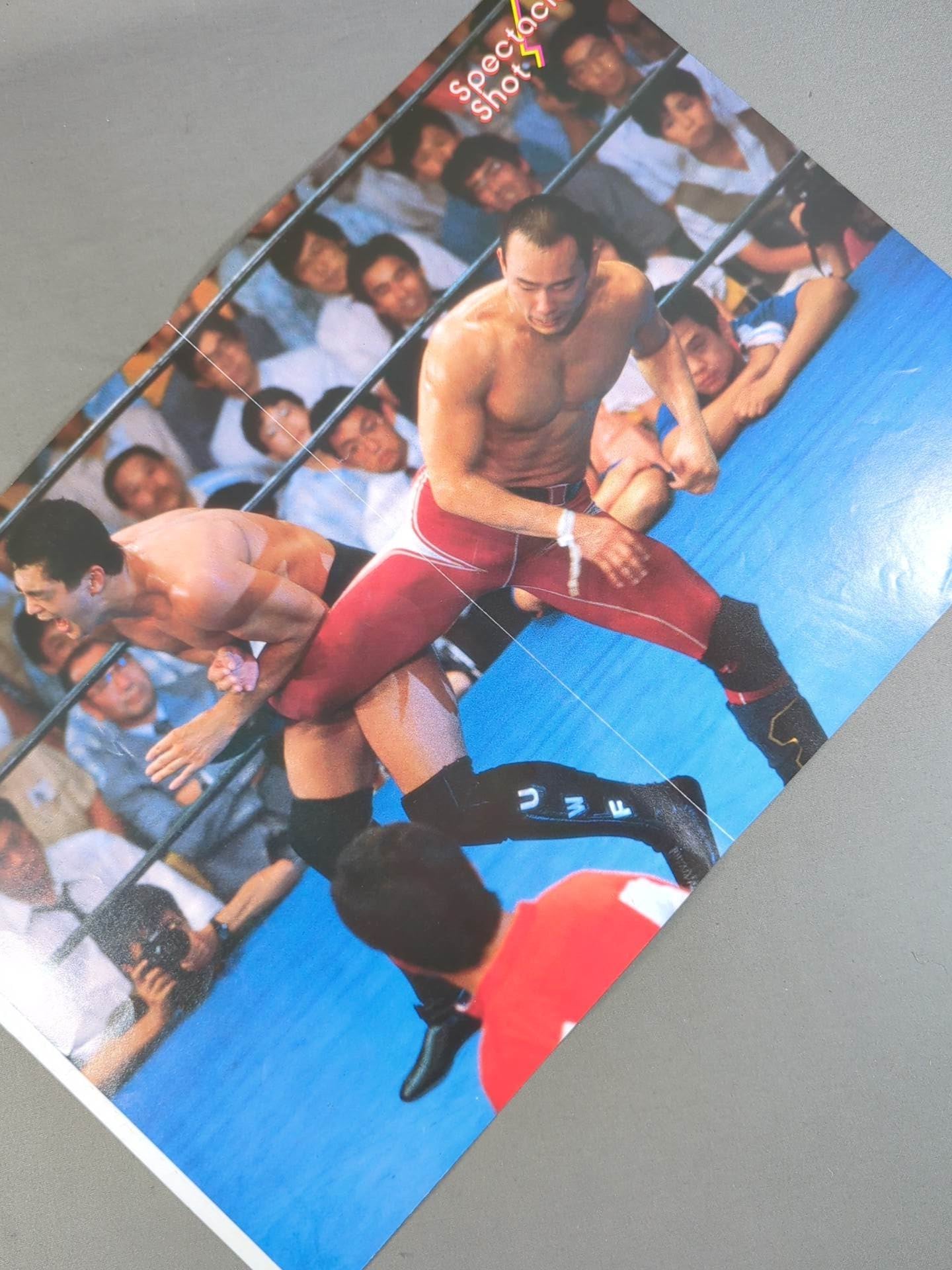 The Road Warriors Magazine Appendix Pin-Up (5)