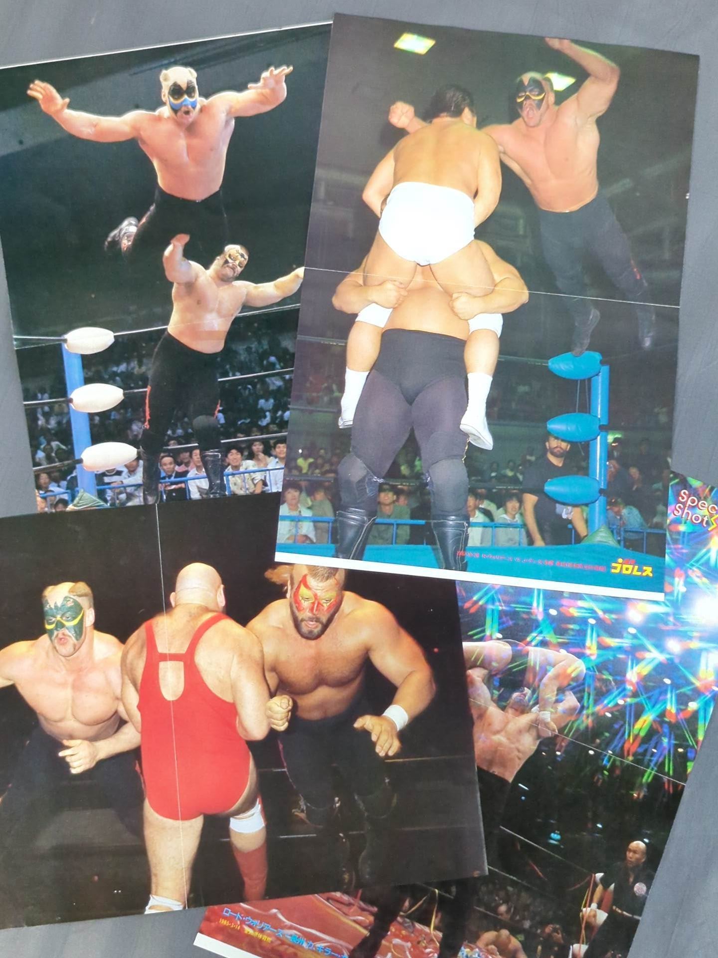 The Road Warriors Magazine Appendix Pin-Up Set