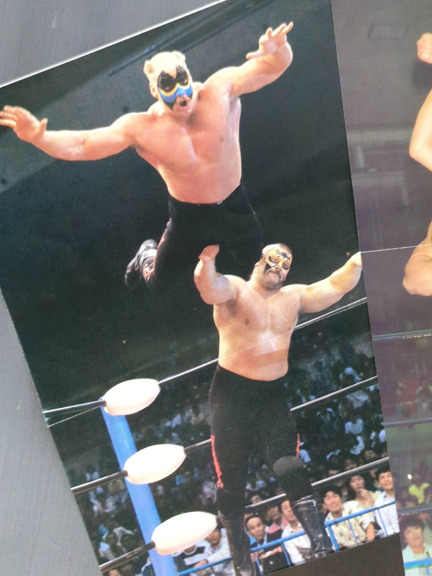 The Road Warriors Magazine Appendix Pin-Up Set