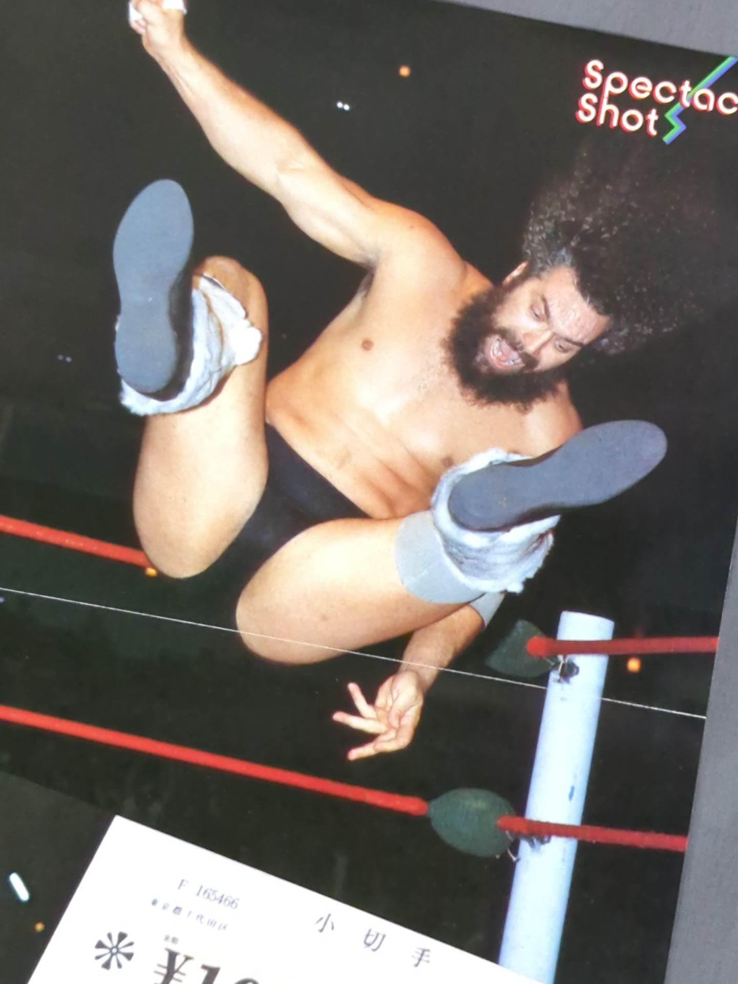 Bruiser Brody Magazine Appendix Pin-Up Set