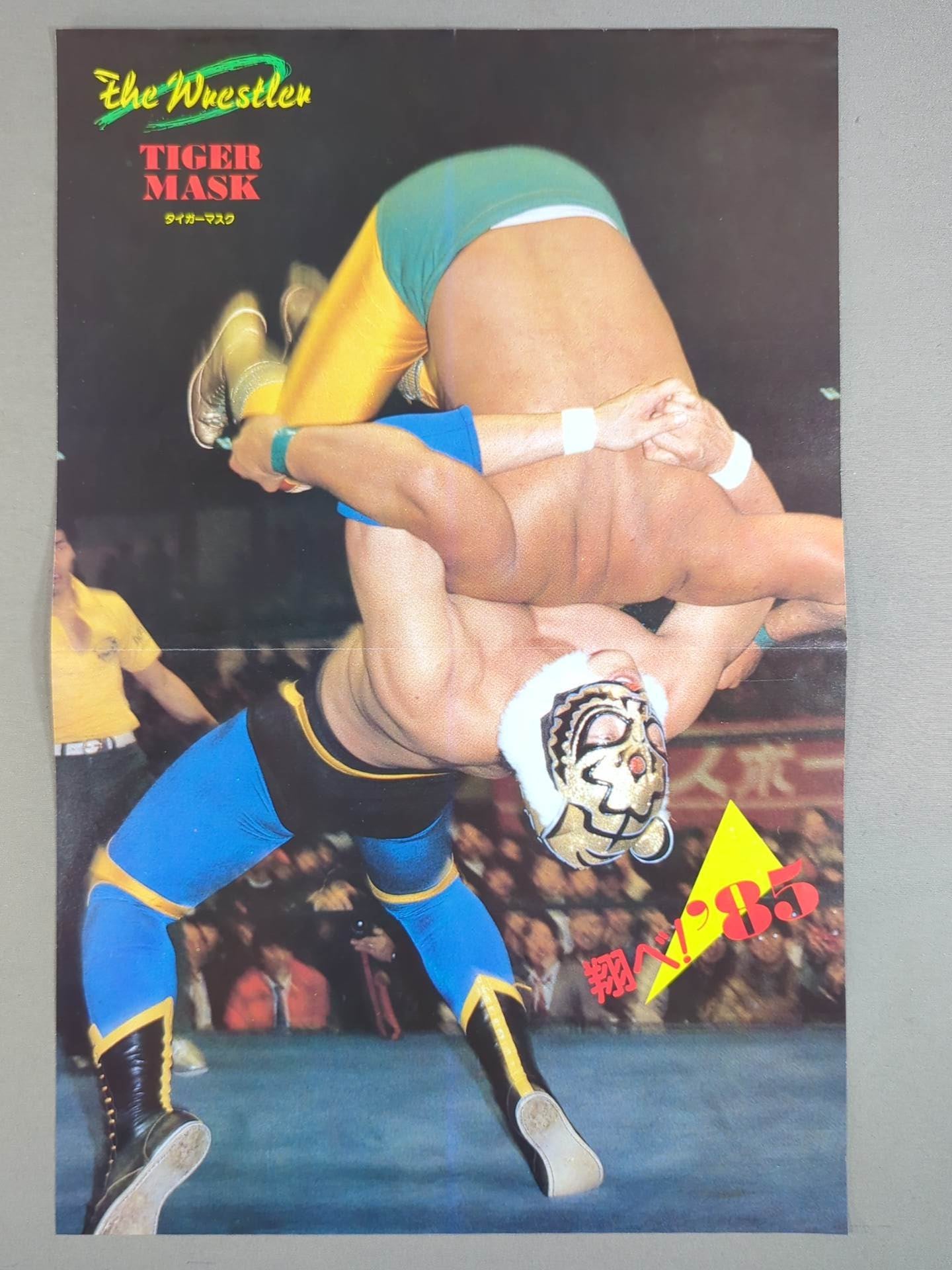 Hulk Hogan Magazine Appendix Pin-Ups(2)