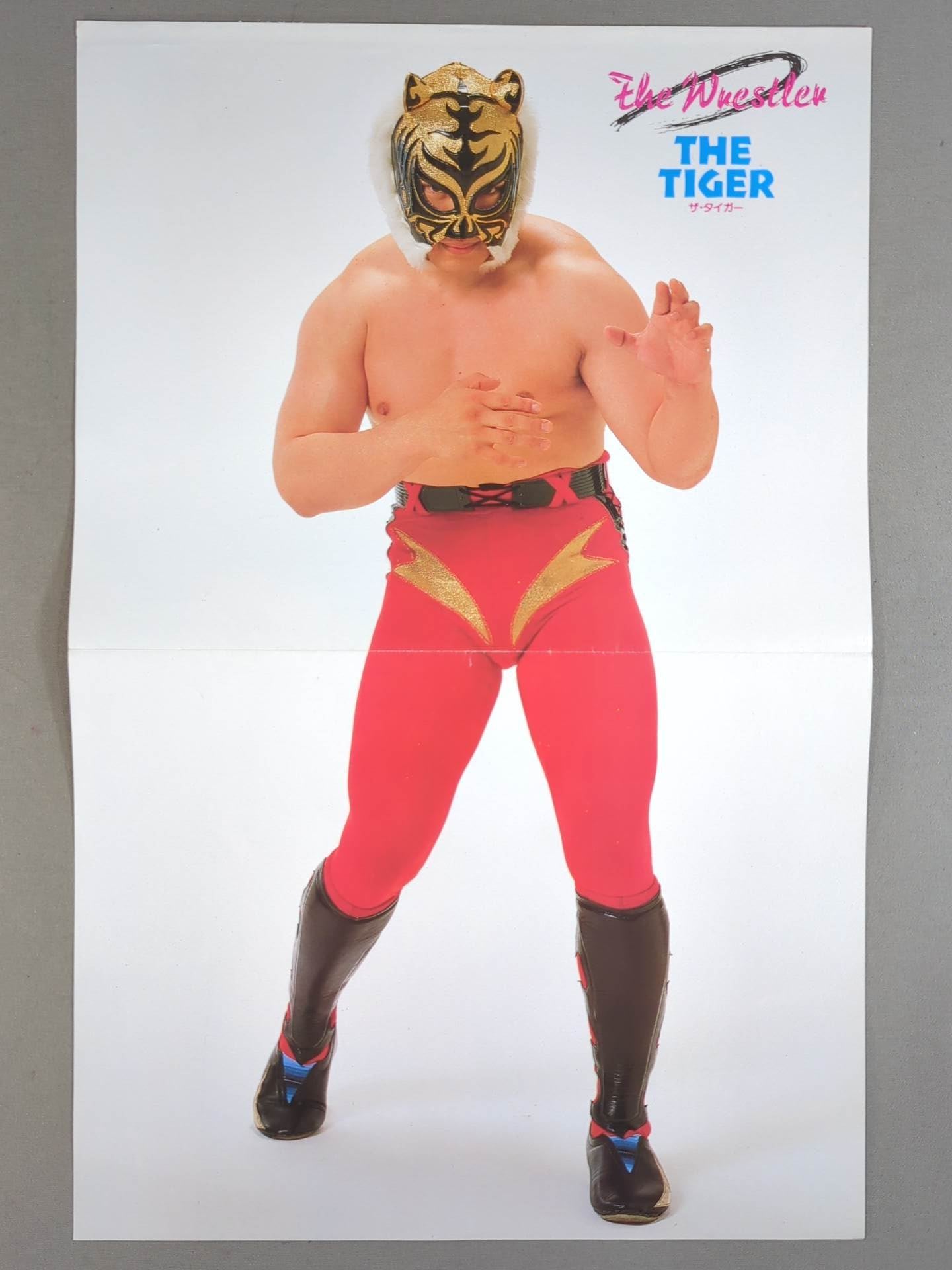 Hulk Hogan Magazine Appendix Pin-Ups(3)
