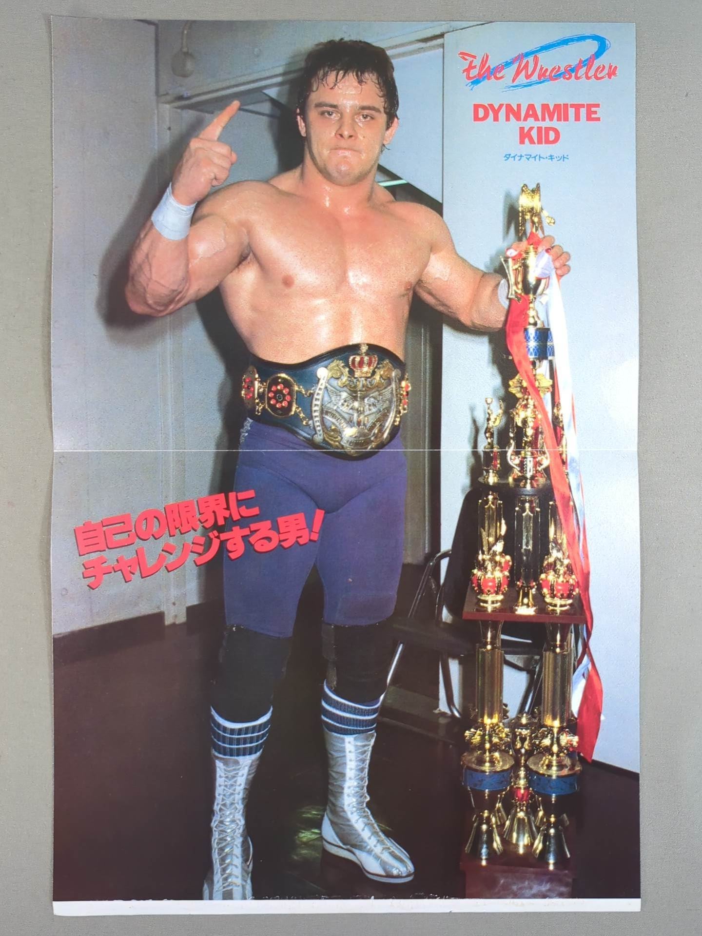 Hulk Hogan Magazine Appendix Pin-Ups(4)