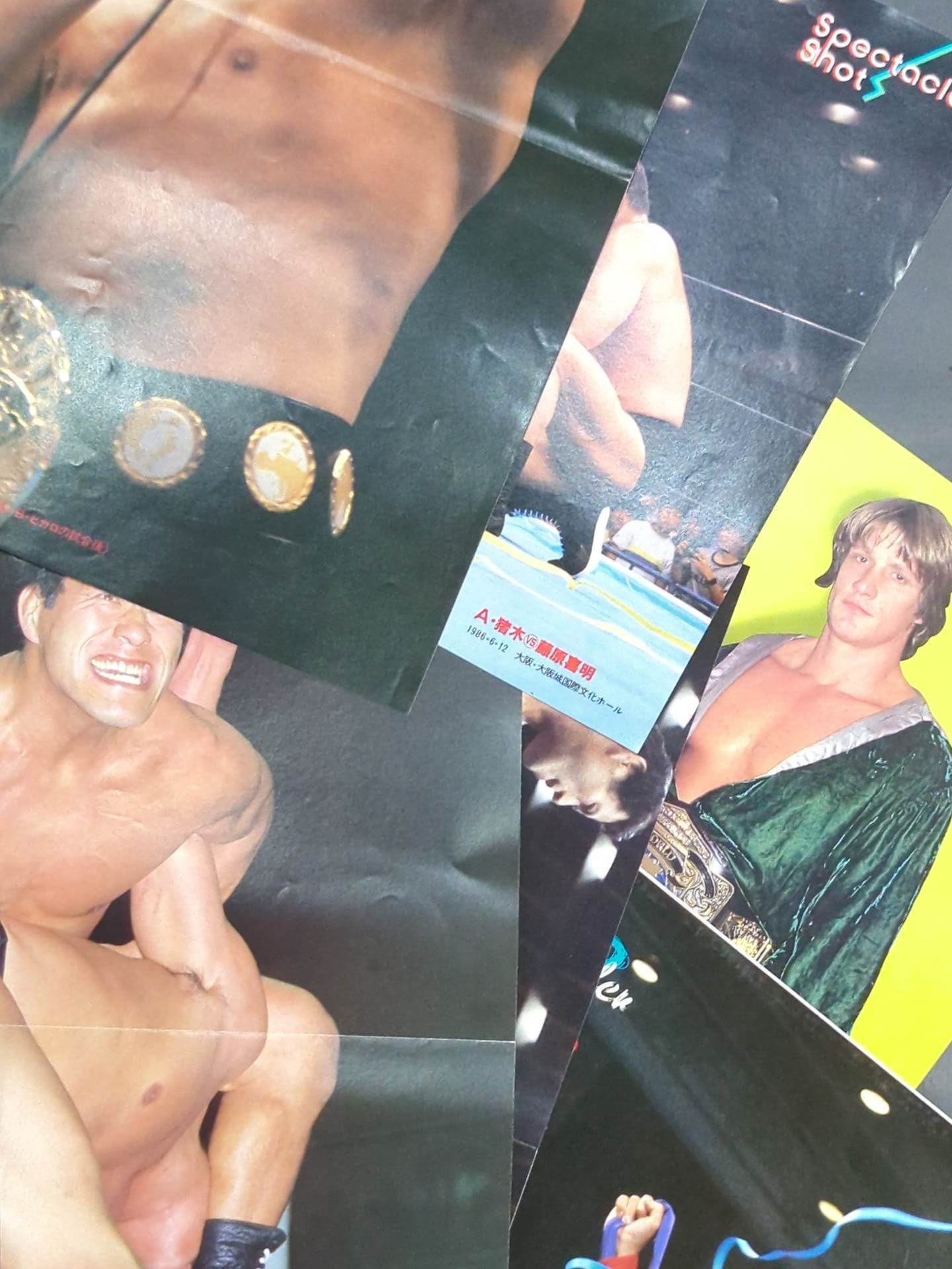 Antonio Inoki Magazine Appendix Pin-Up Set