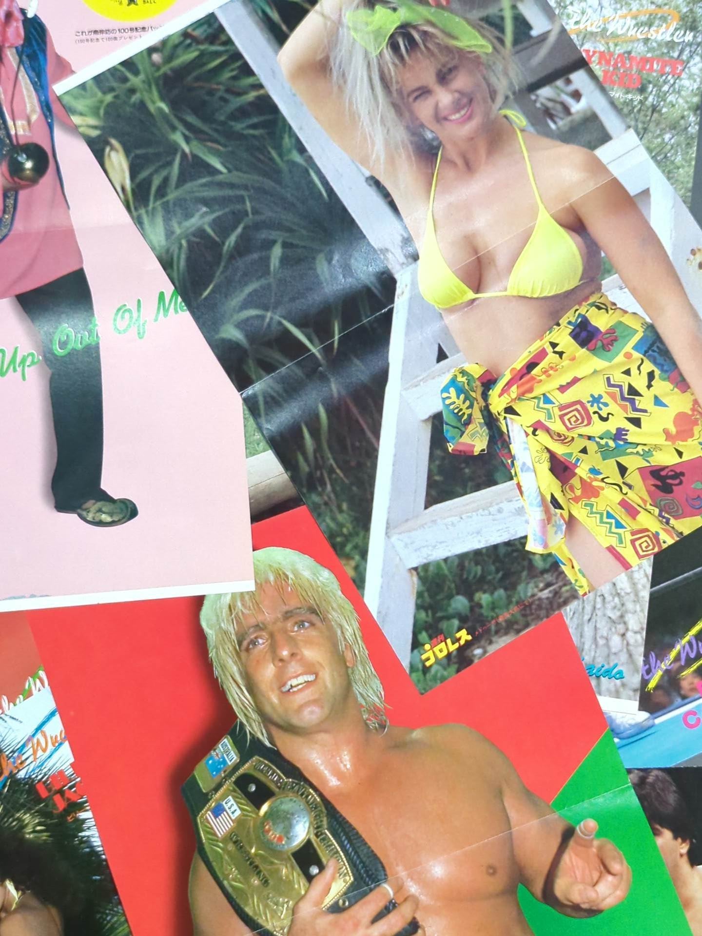 Foreign wrestlers visiting Japan Magazine appendix pin-up set