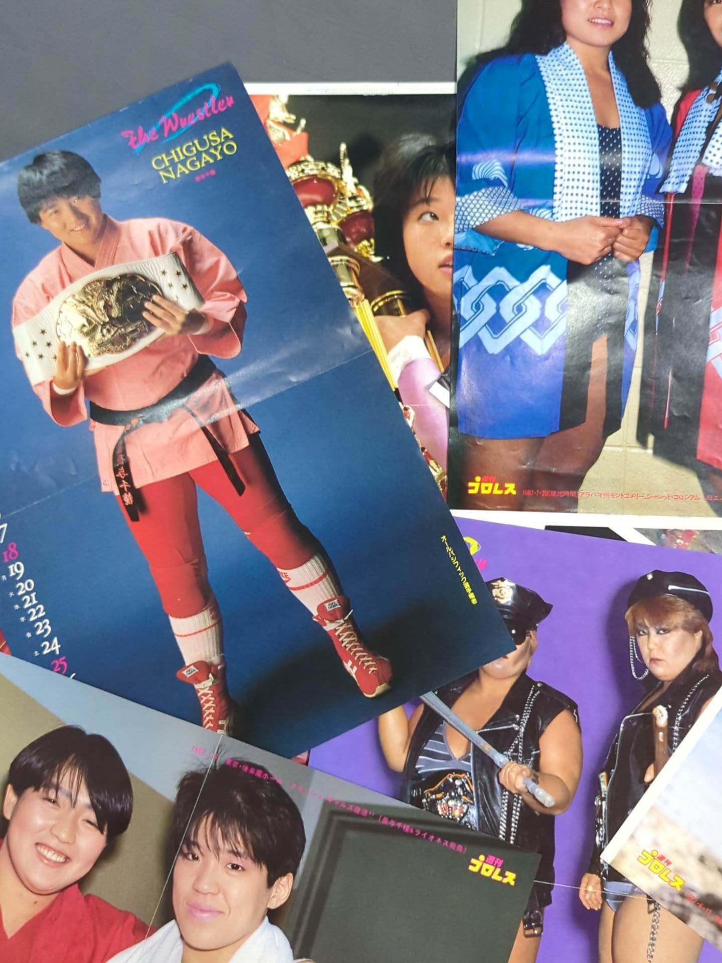 Women's pro wrestler magazine appendix pin-up set