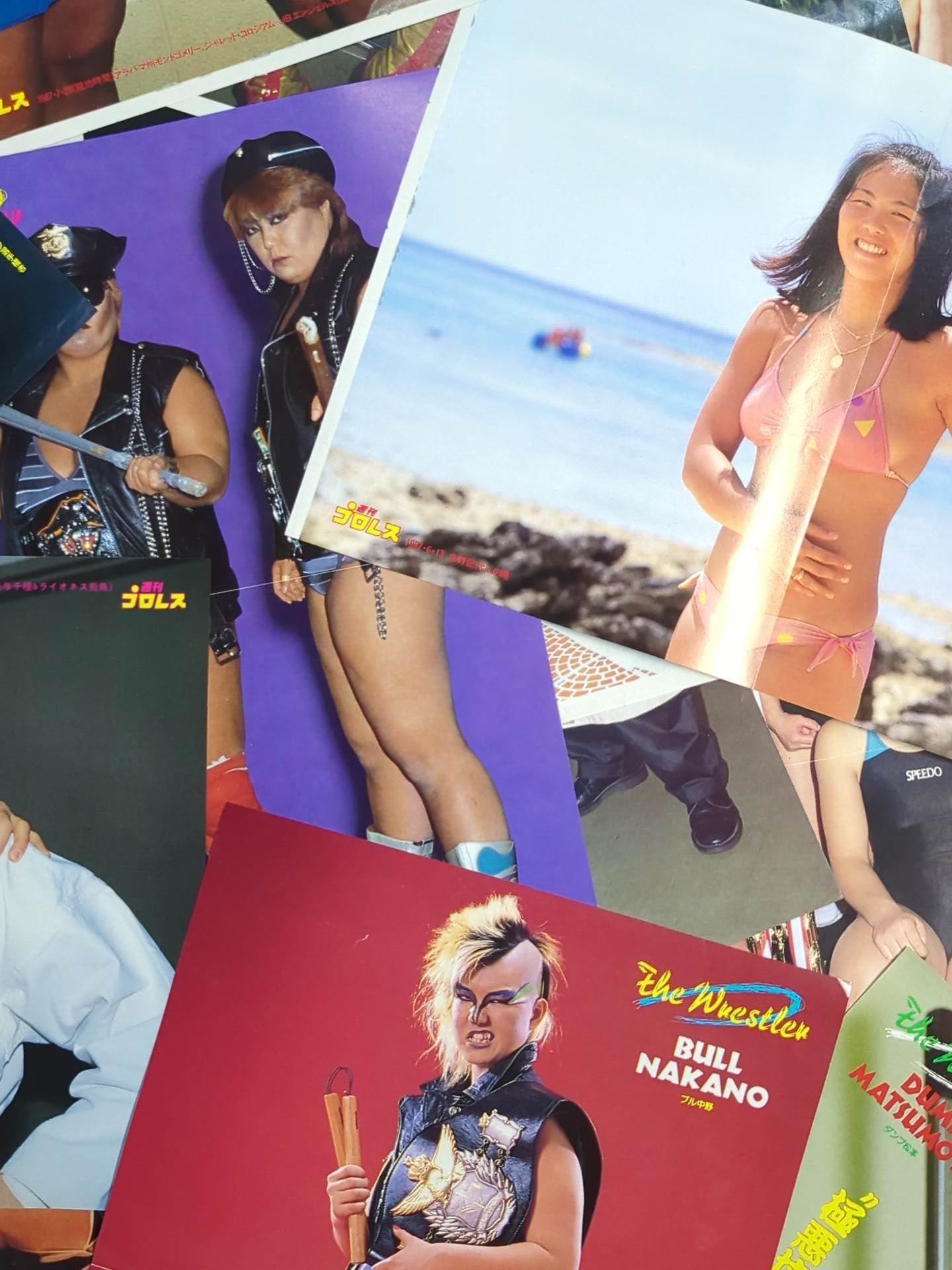 Women's pro wrestler magazine appendix pin-up set