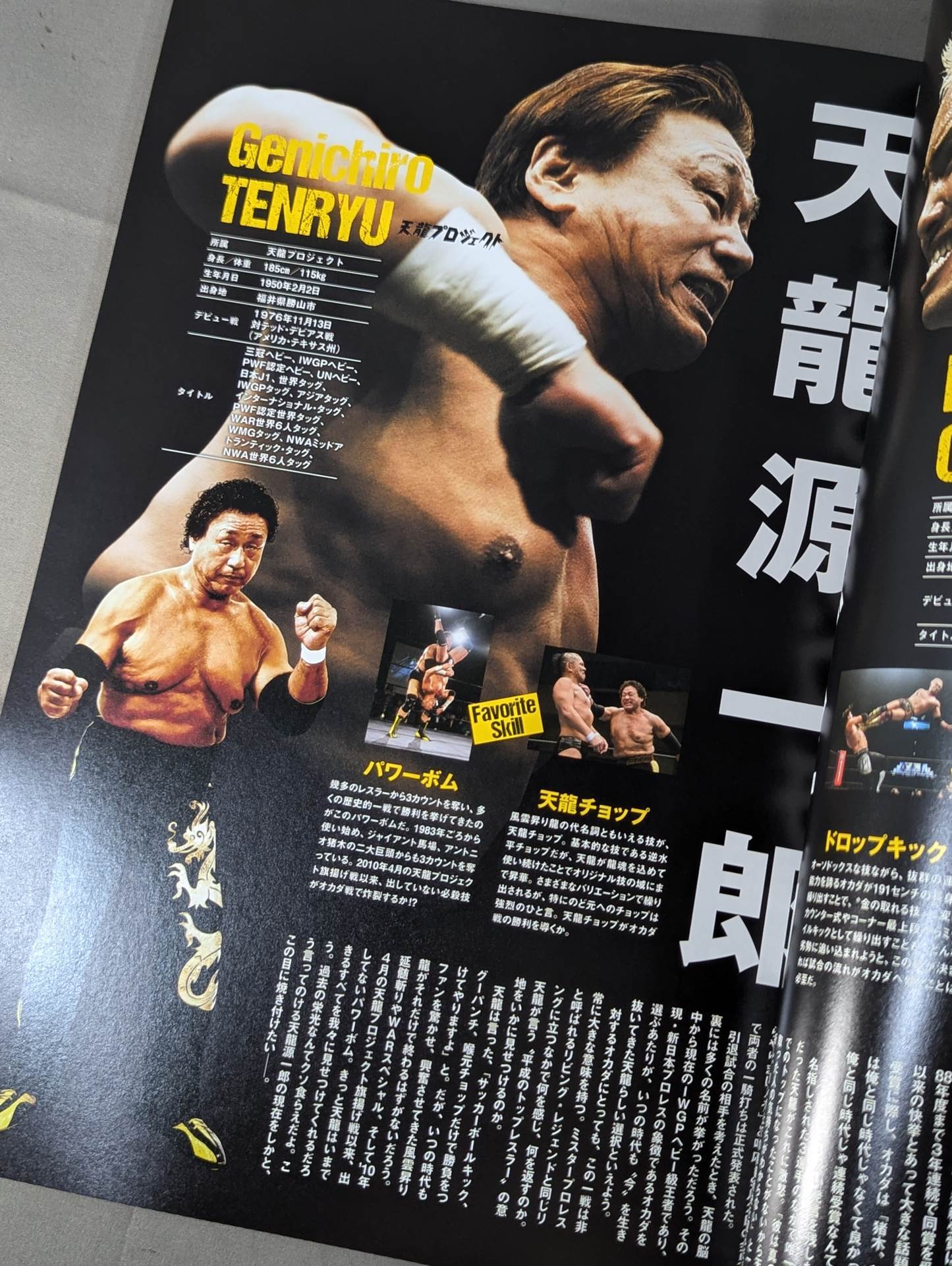 ★ Tenryu Genichiro Retirement ★ Revolution FINAL