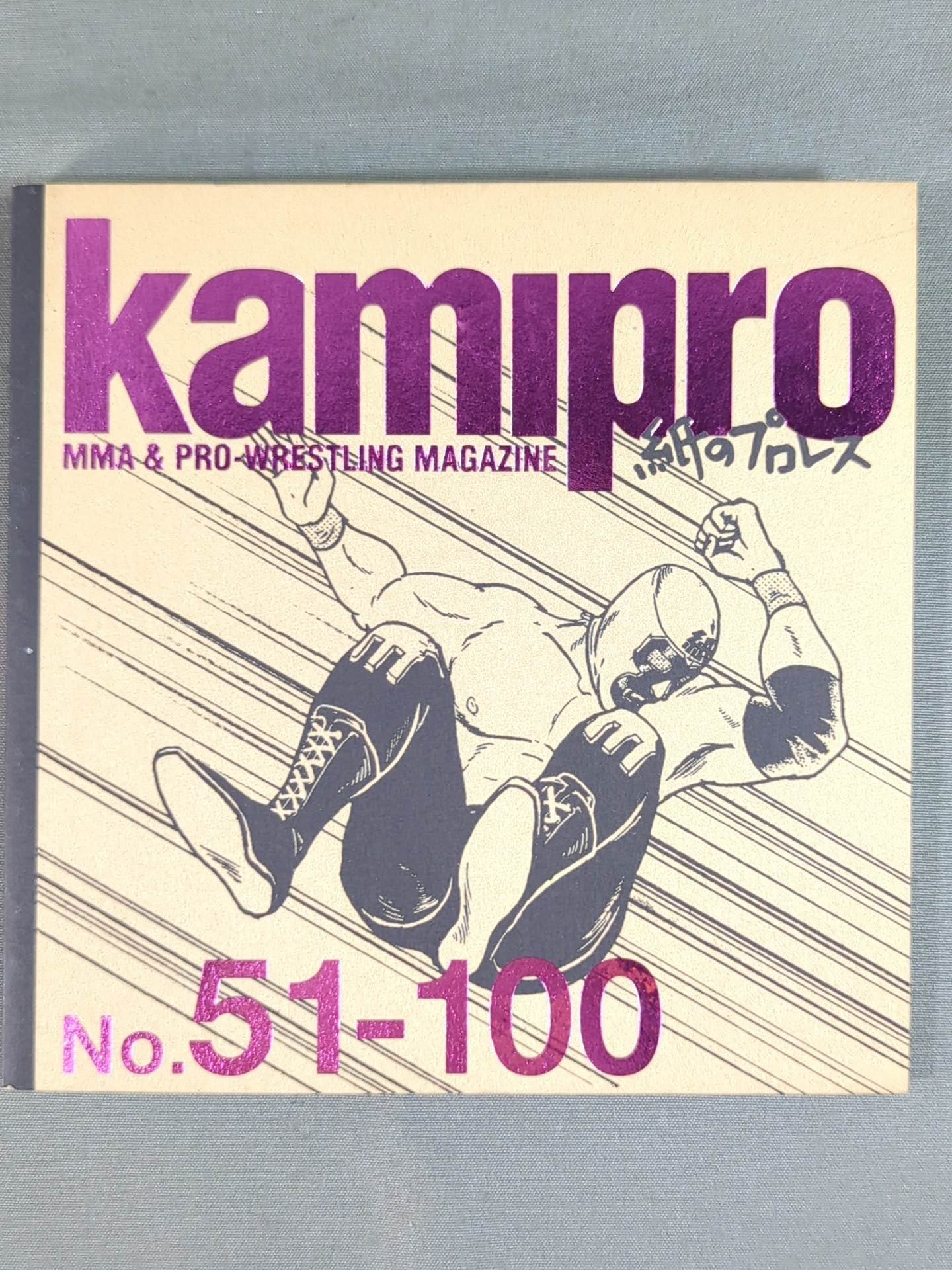 Paper Pro Wrestling No. 100 Commemorative Back Number (No.51-100)