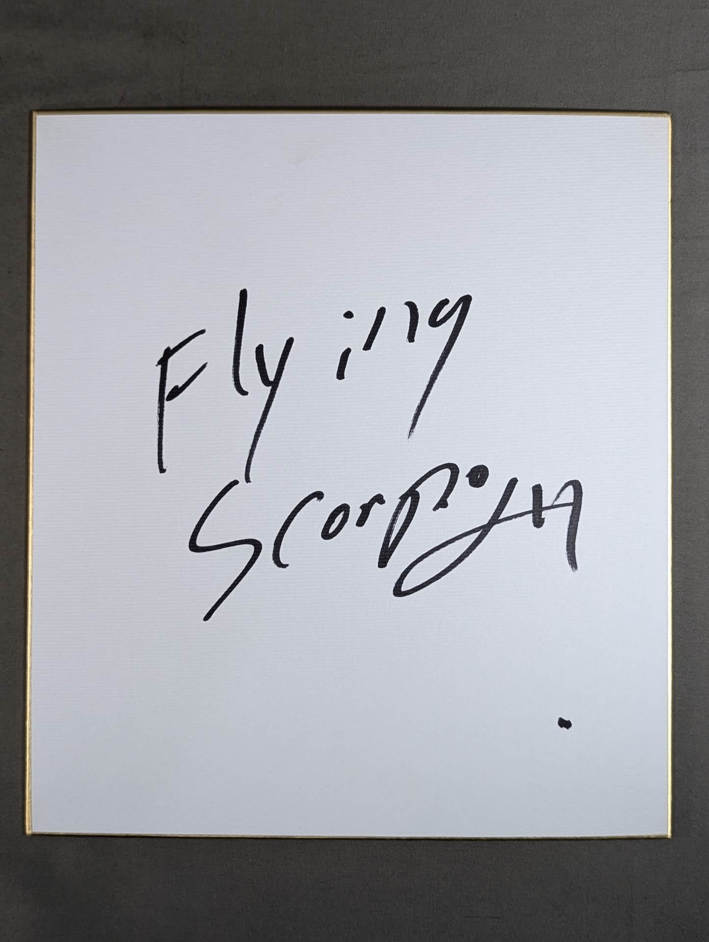 Flying Scorpio