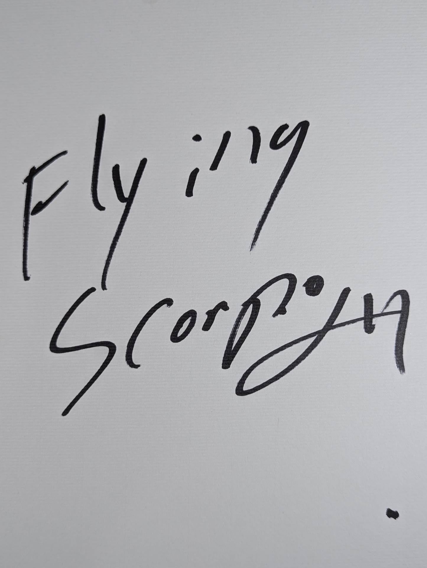 Flying Scorpio