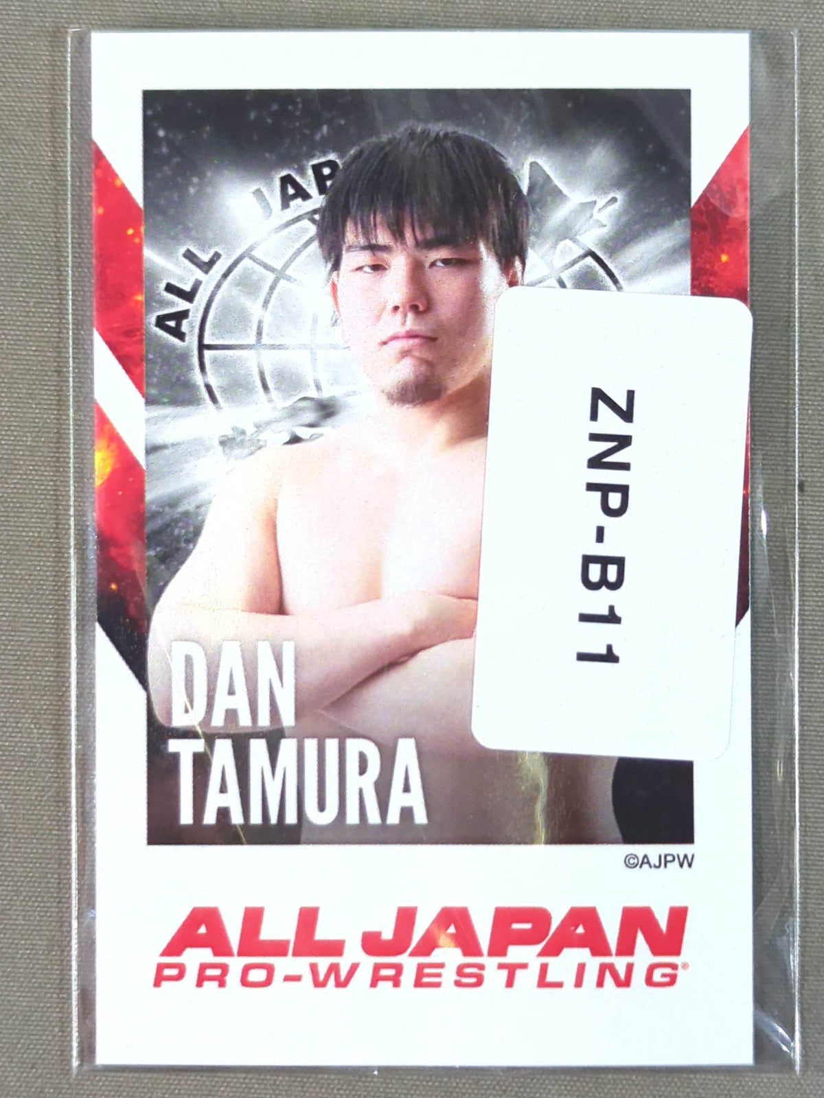 田村男児 全日本プロレス×ウェブポン チェキ風カード