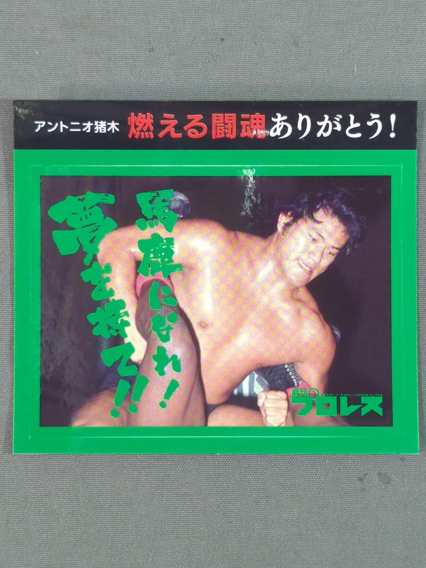 ★ Thank you for your burning fighting spirit! ★ Antonio Inoki "Be an idiot! Have a dream!!" sticker
