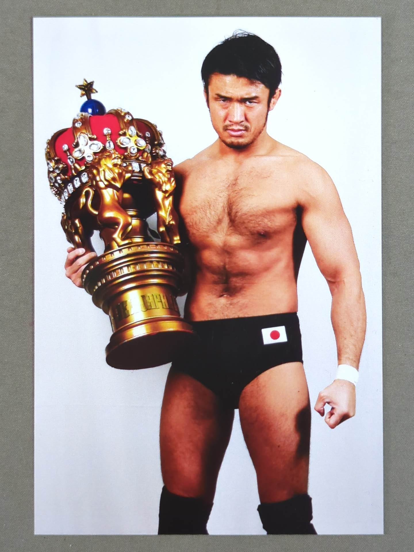 Katsuyori Shibata Postcard Set