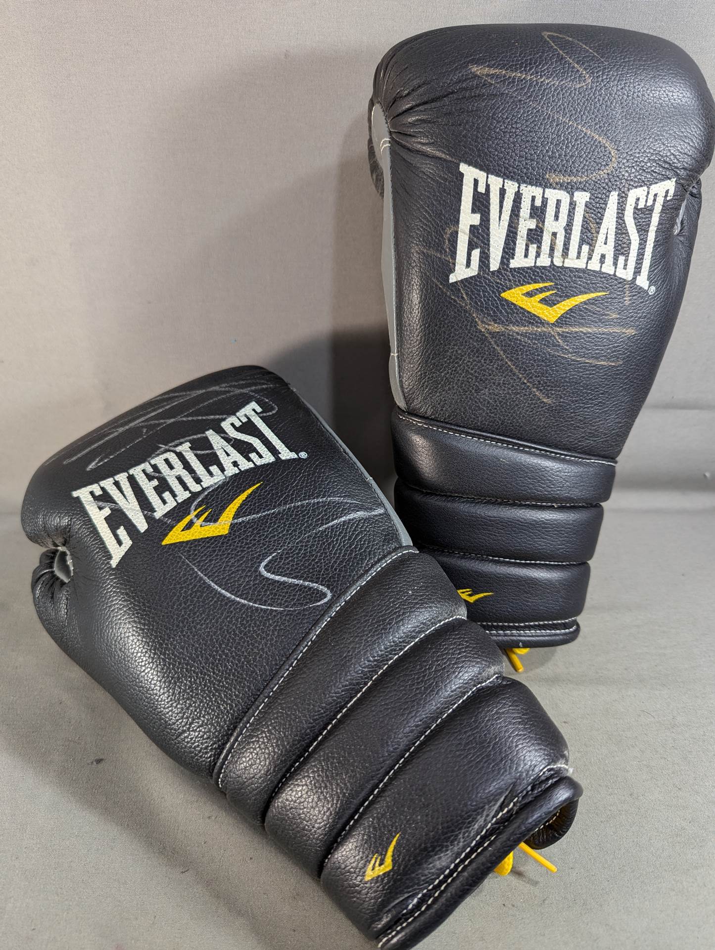 【Peter Aerts hand signed autograph 】EVERLAST Boxing Gloves