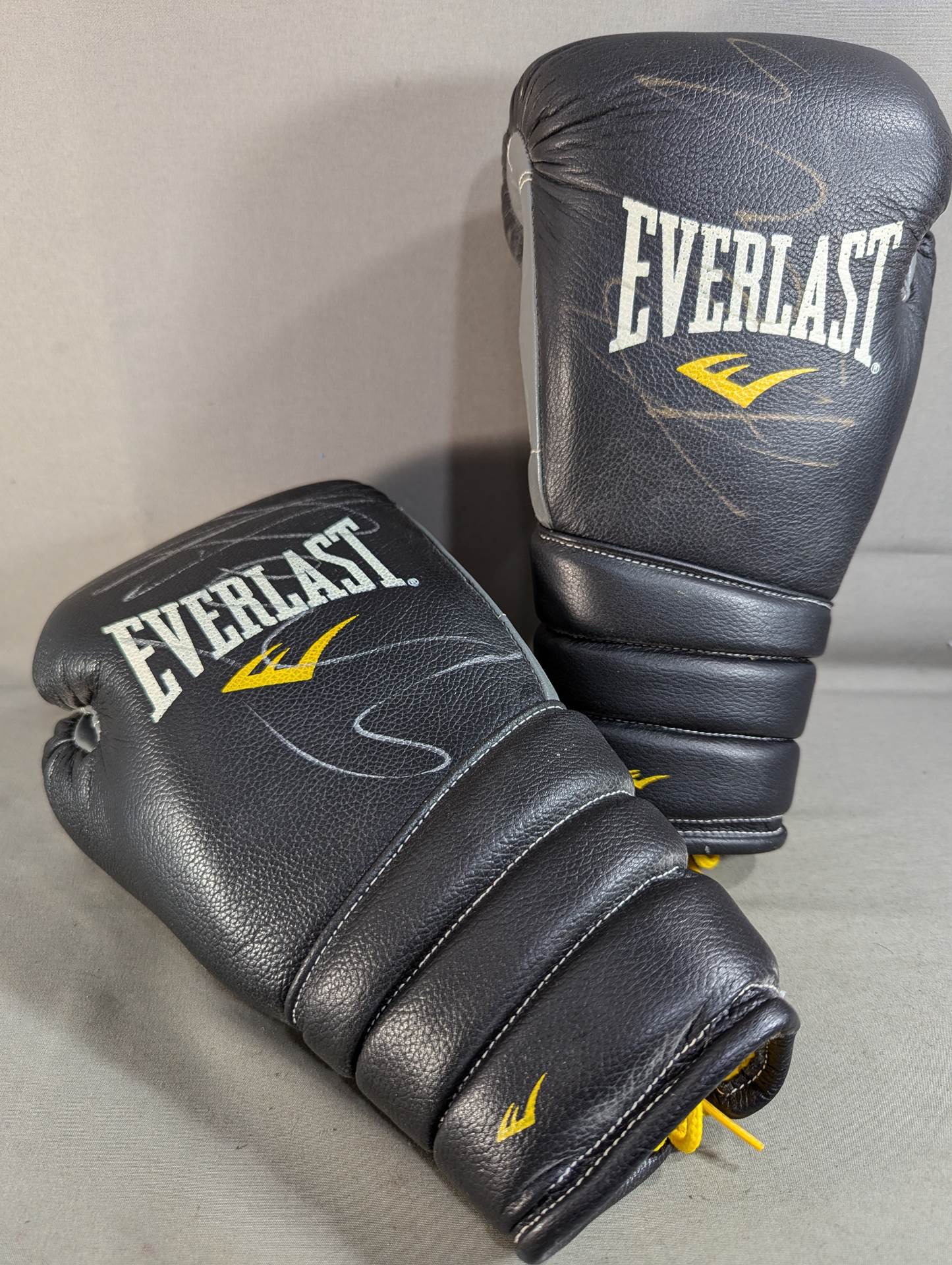 【Peter Aerts hand signed autograph 】EVERLAST Boxing Gloves