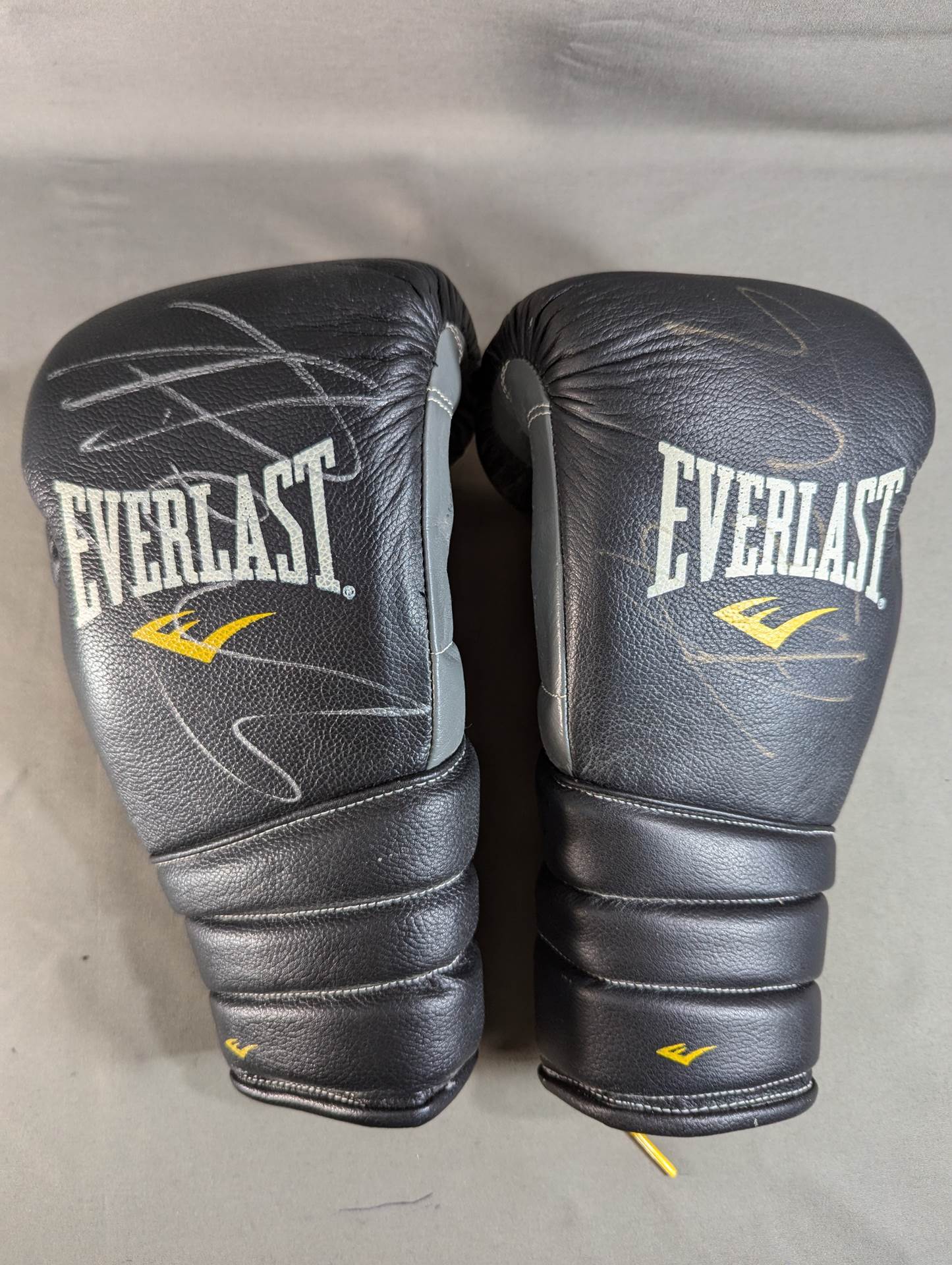 【Peter Aerts hand signed autograph 】EVERLAST Boxing Gloves