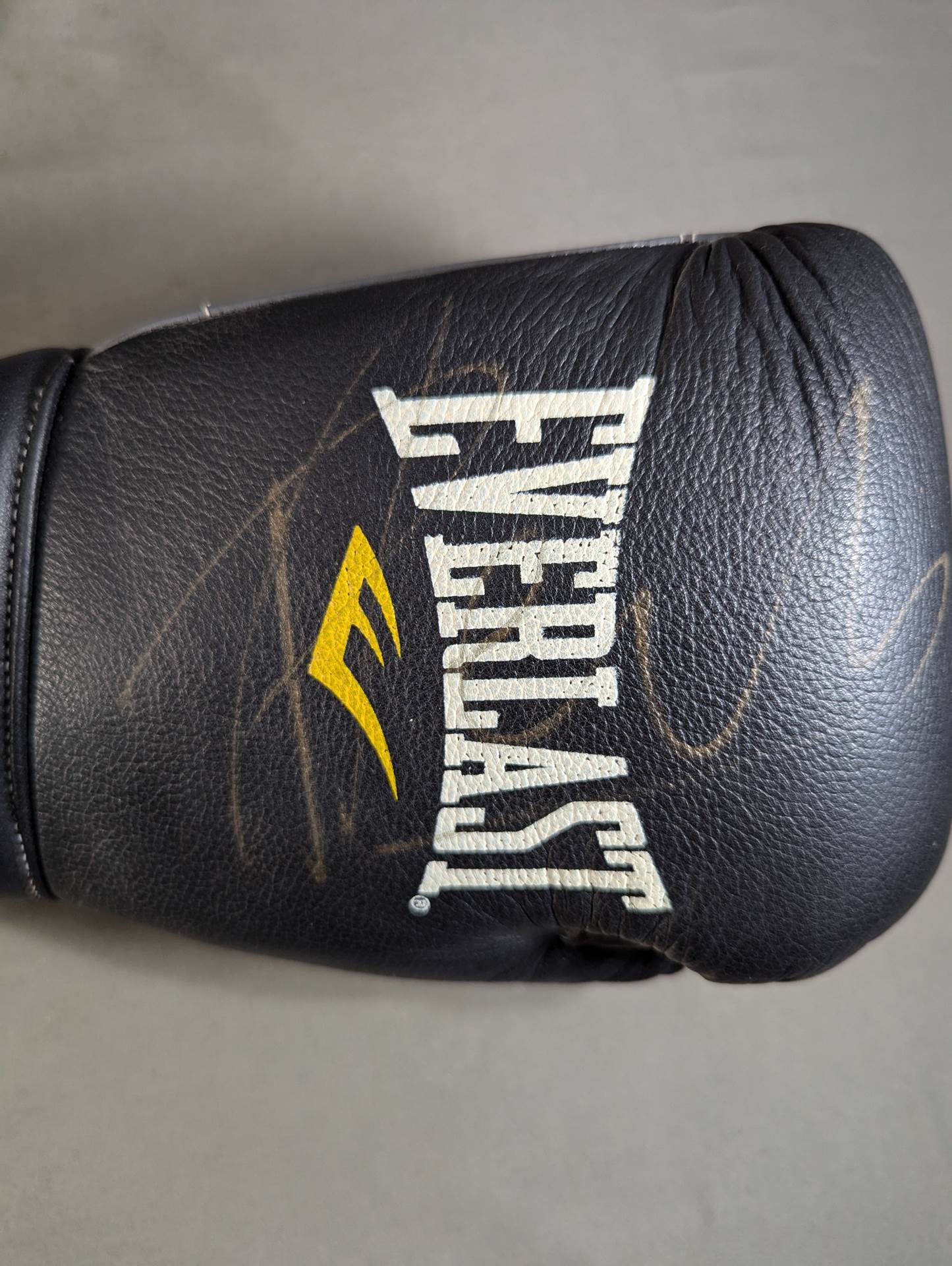 【Peter Aerts hand signed autograph 】EVERLAST Boxing Gloves
