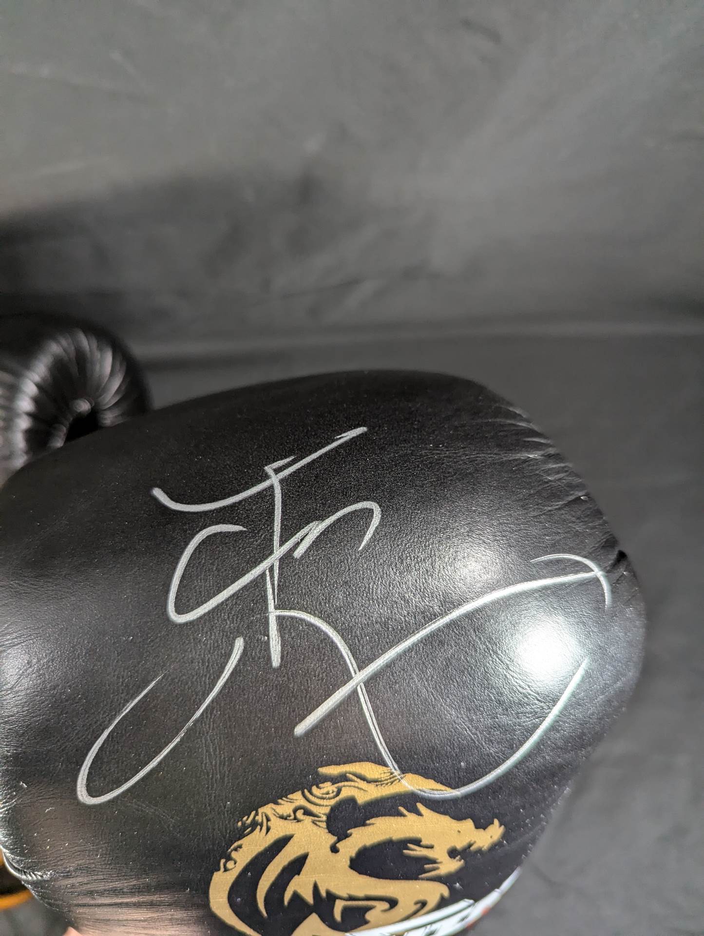 【Tenshin Nasukawa hand signed autograph 】ISAMI Tenshin Gloves
