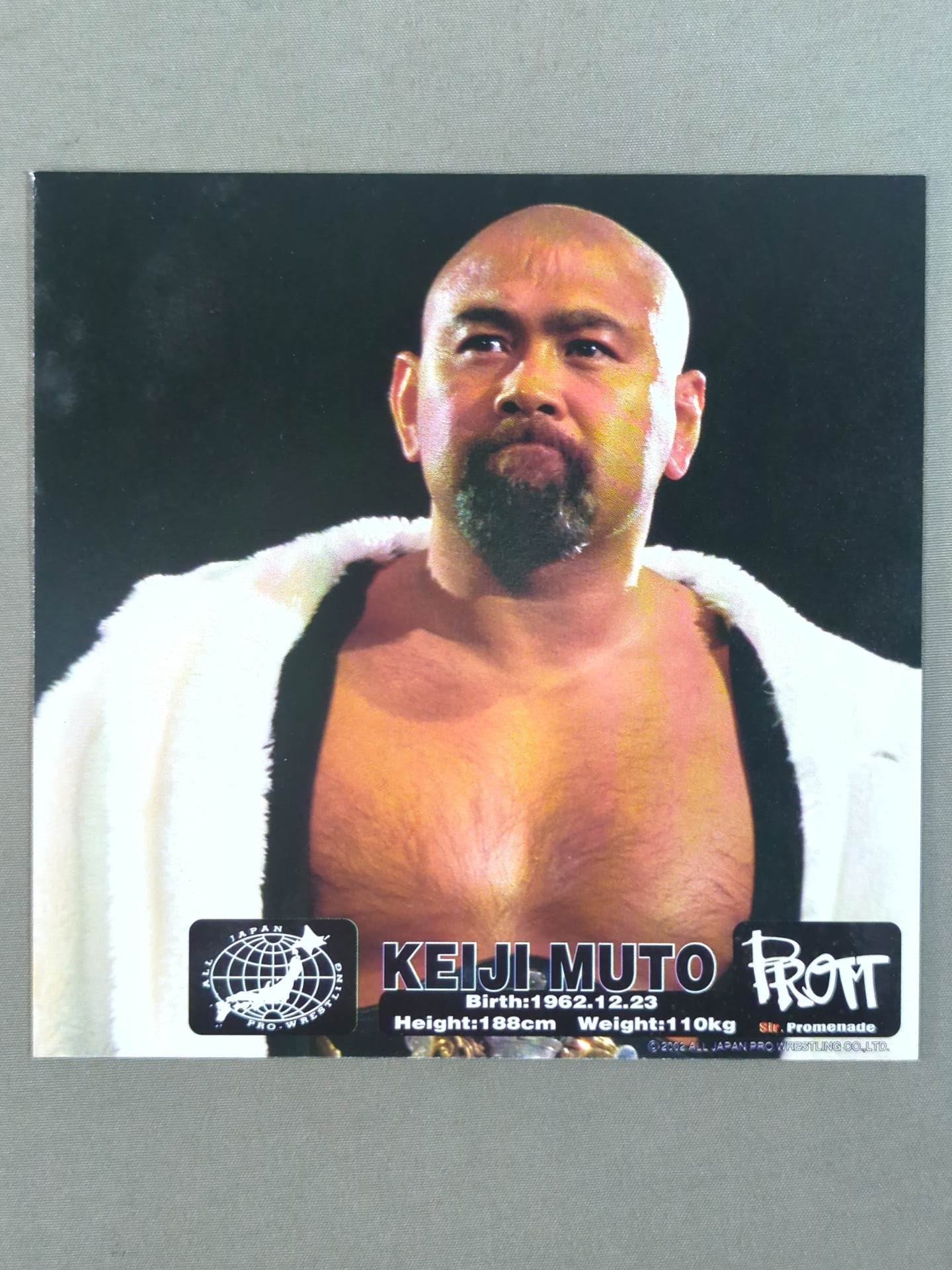 All Japan Pro Wrestling Official Original Postcard Set