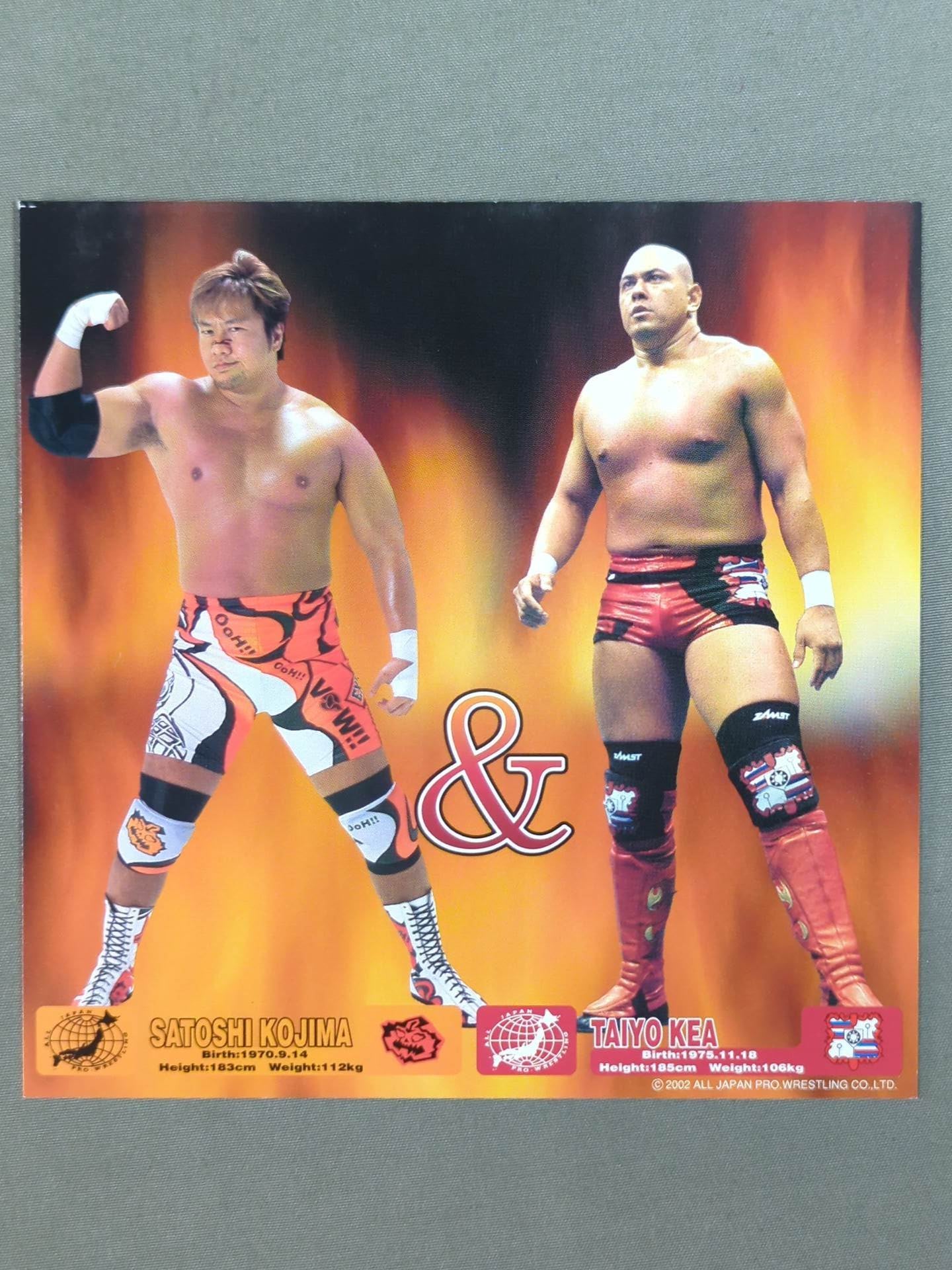 All Japan Pro Wrestling Official Original Postcard Set