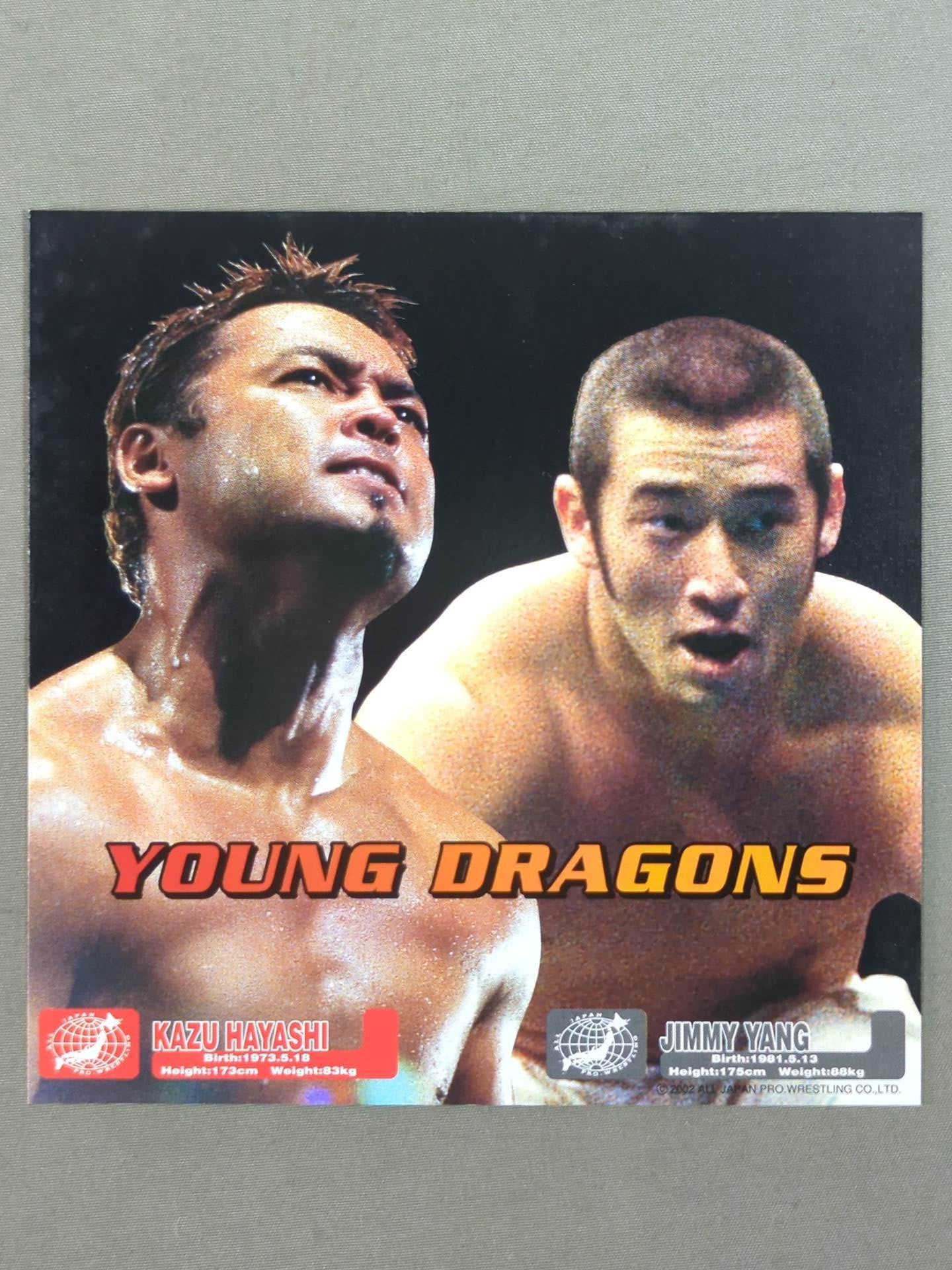 All Japan Pro Wrestling Official Original Postcard Set