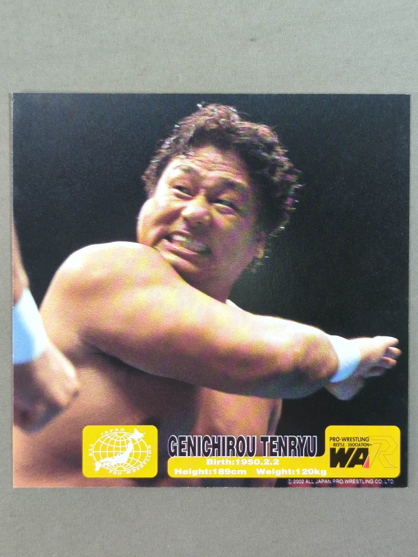 All Japan Pro Wrestling Official Original Postcard Set