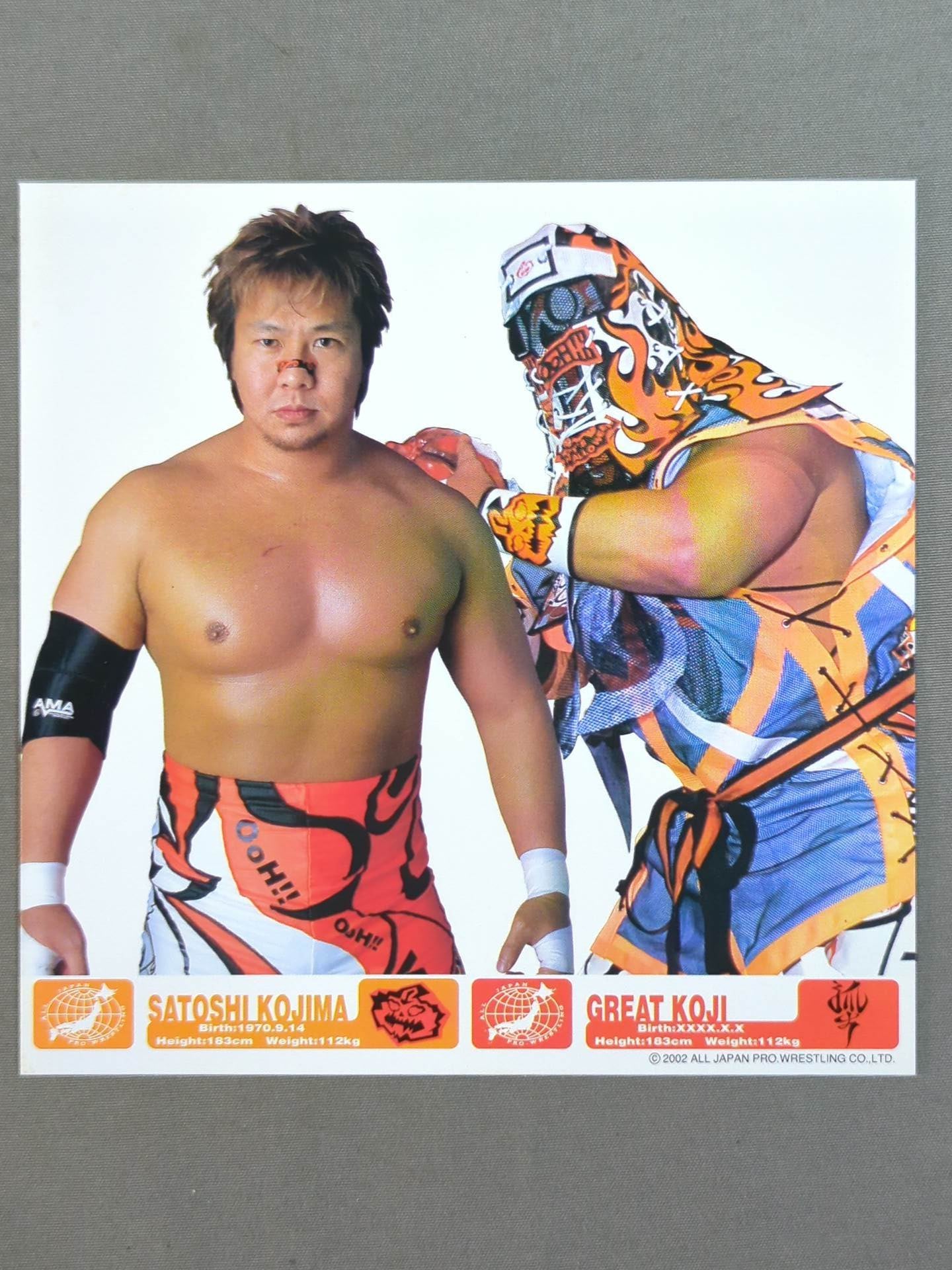 All Japan Pro Wrestling Official Original Postcard Set