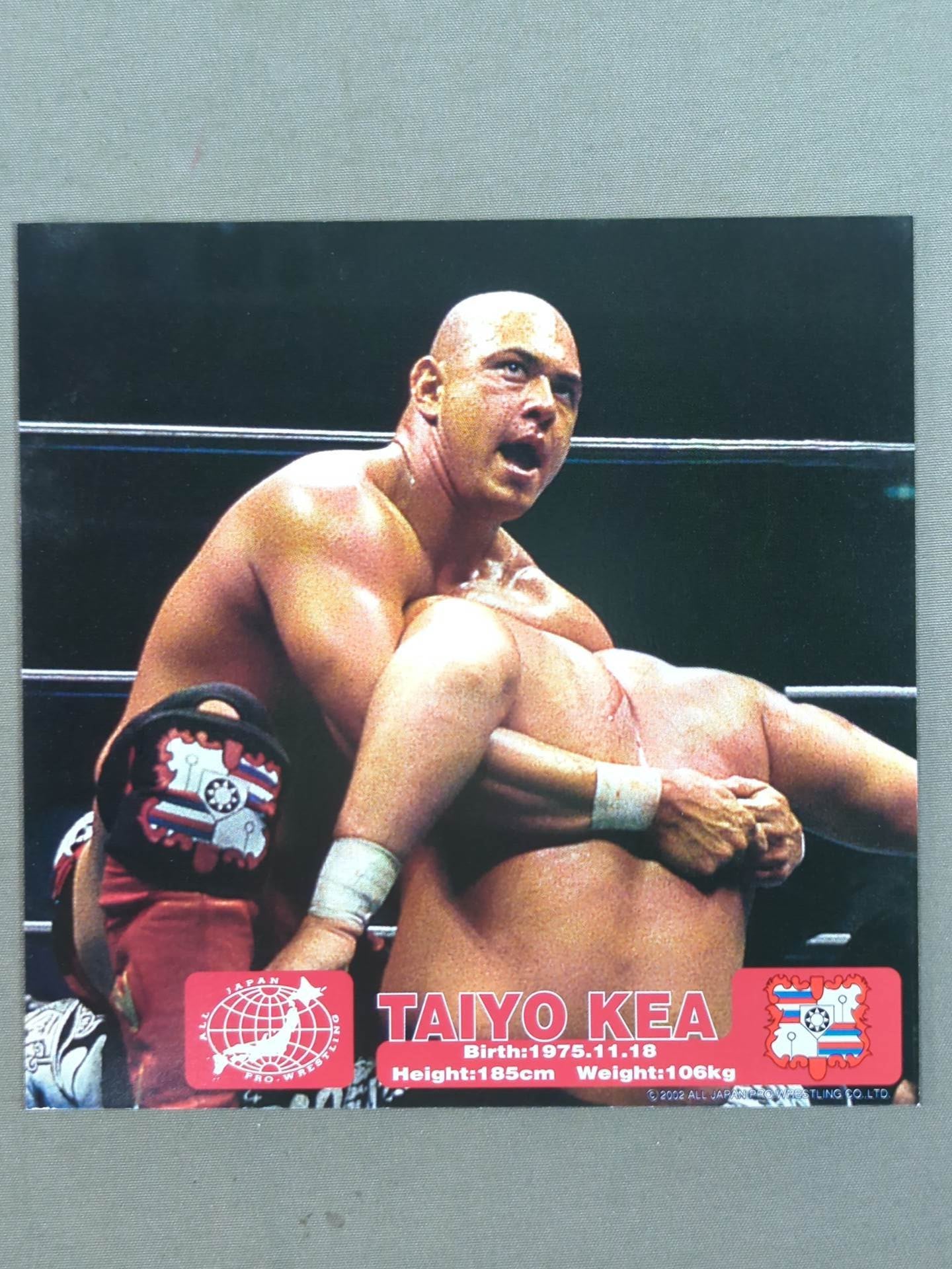 All Japan Pro Wrestling Official Original Postcard Set