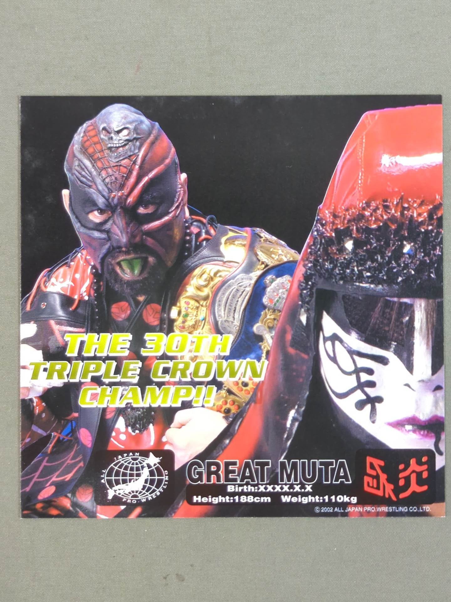 All Japan Pro Wrestling Official Original Postcard Set