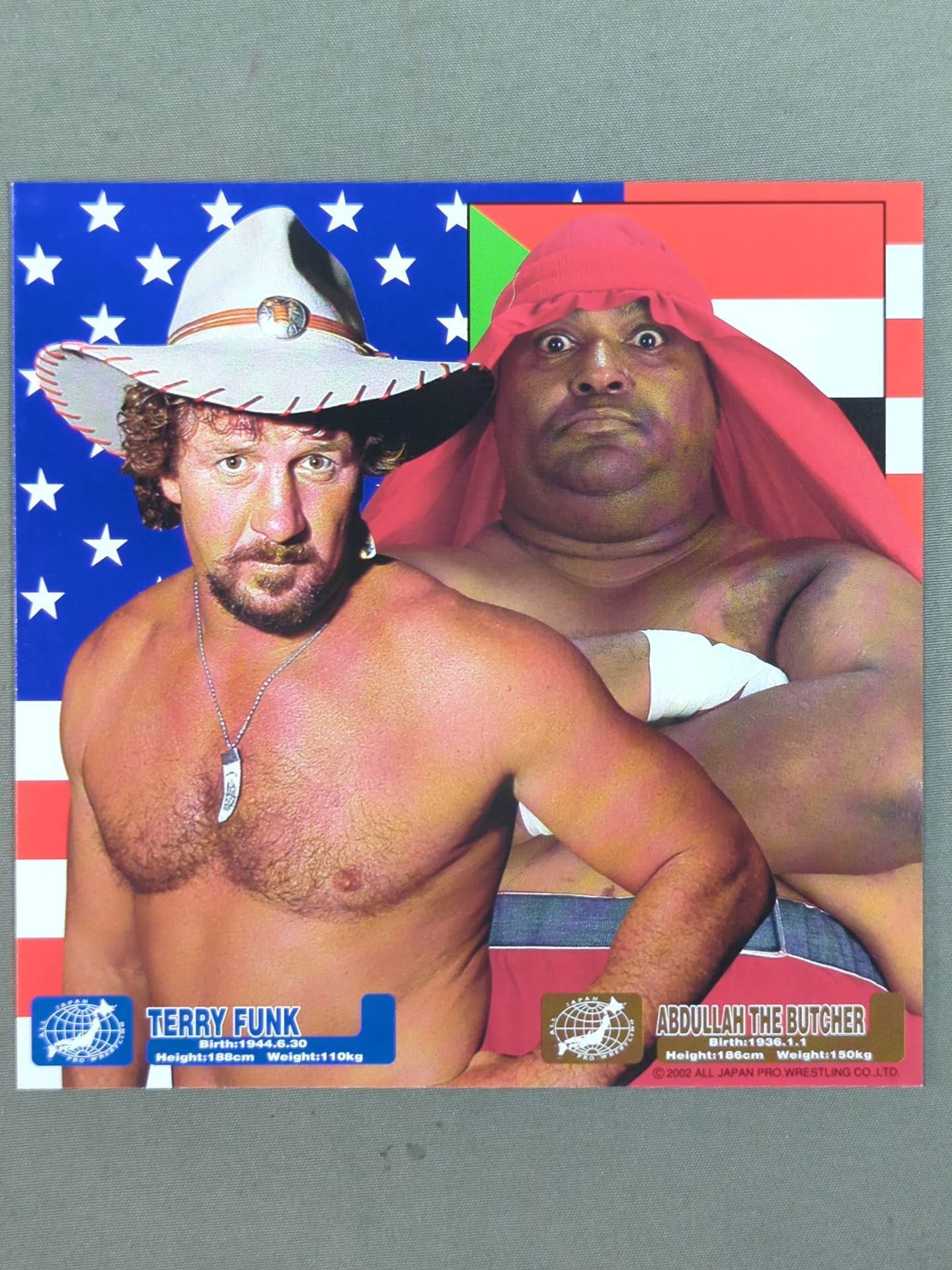 All Japan Pro Wrestling Official Original Postcard Set