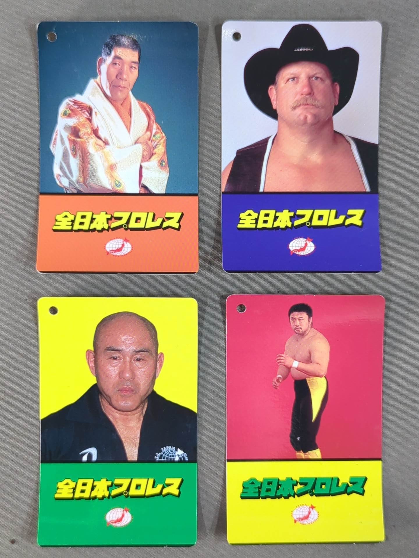 Soft Toy Tag Card Set for Pro Wrestler