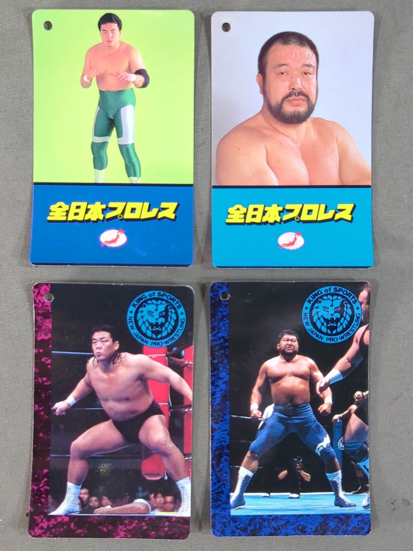 Soft Toy Tag Card Set for Pro Wrestler