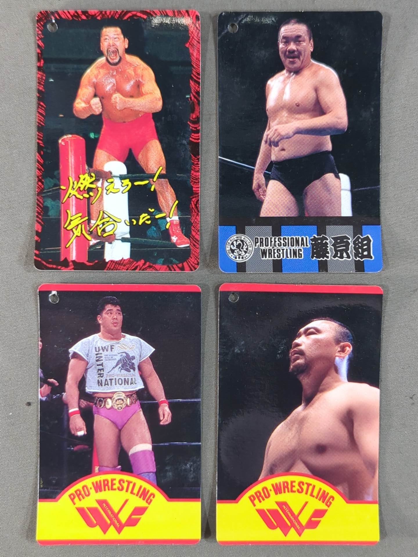 Soft Toy Tag Card Set for Pro Wrestler