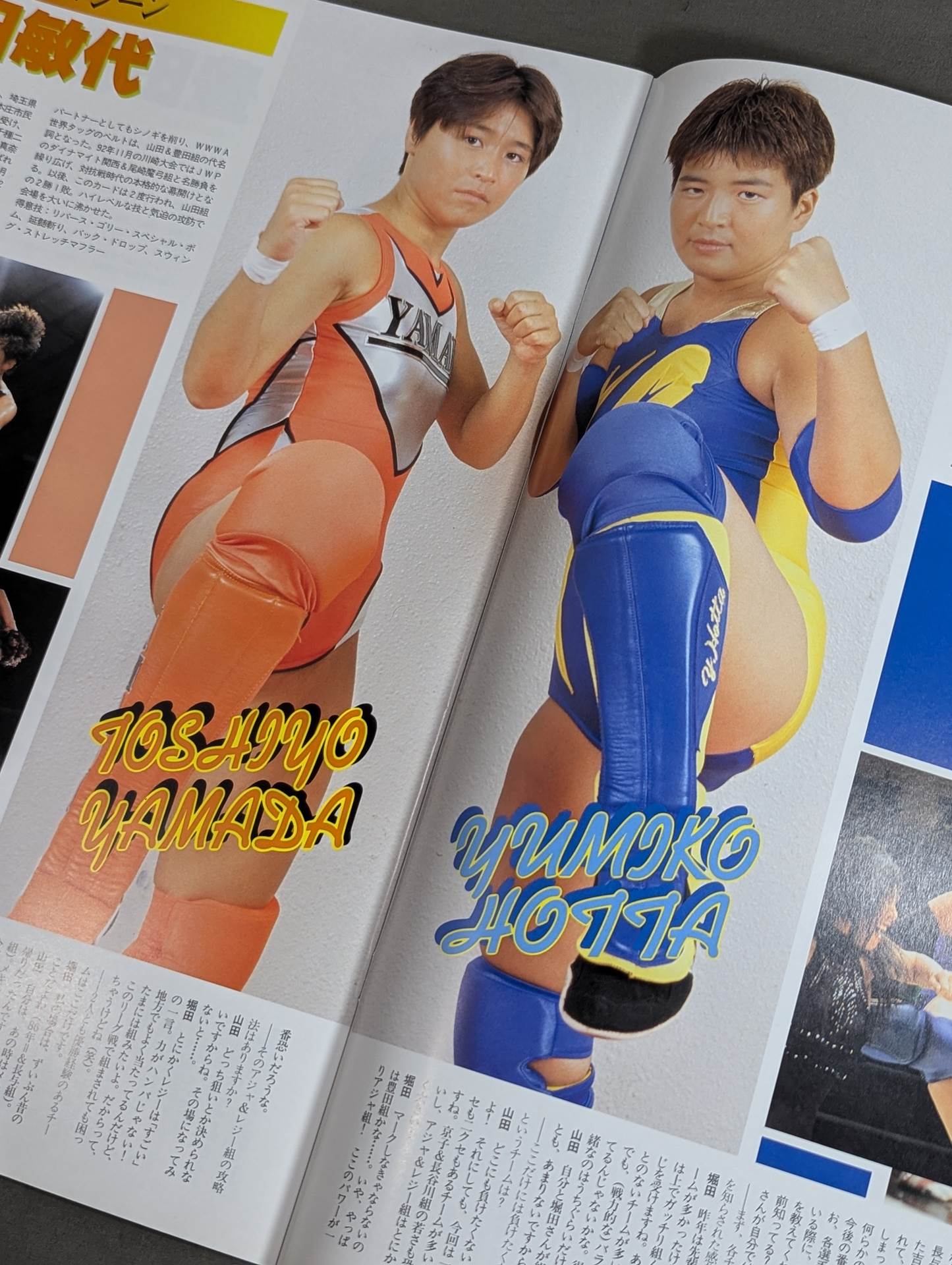 リングスターPROGRAM TAG LEAGUE THE BEST ’94