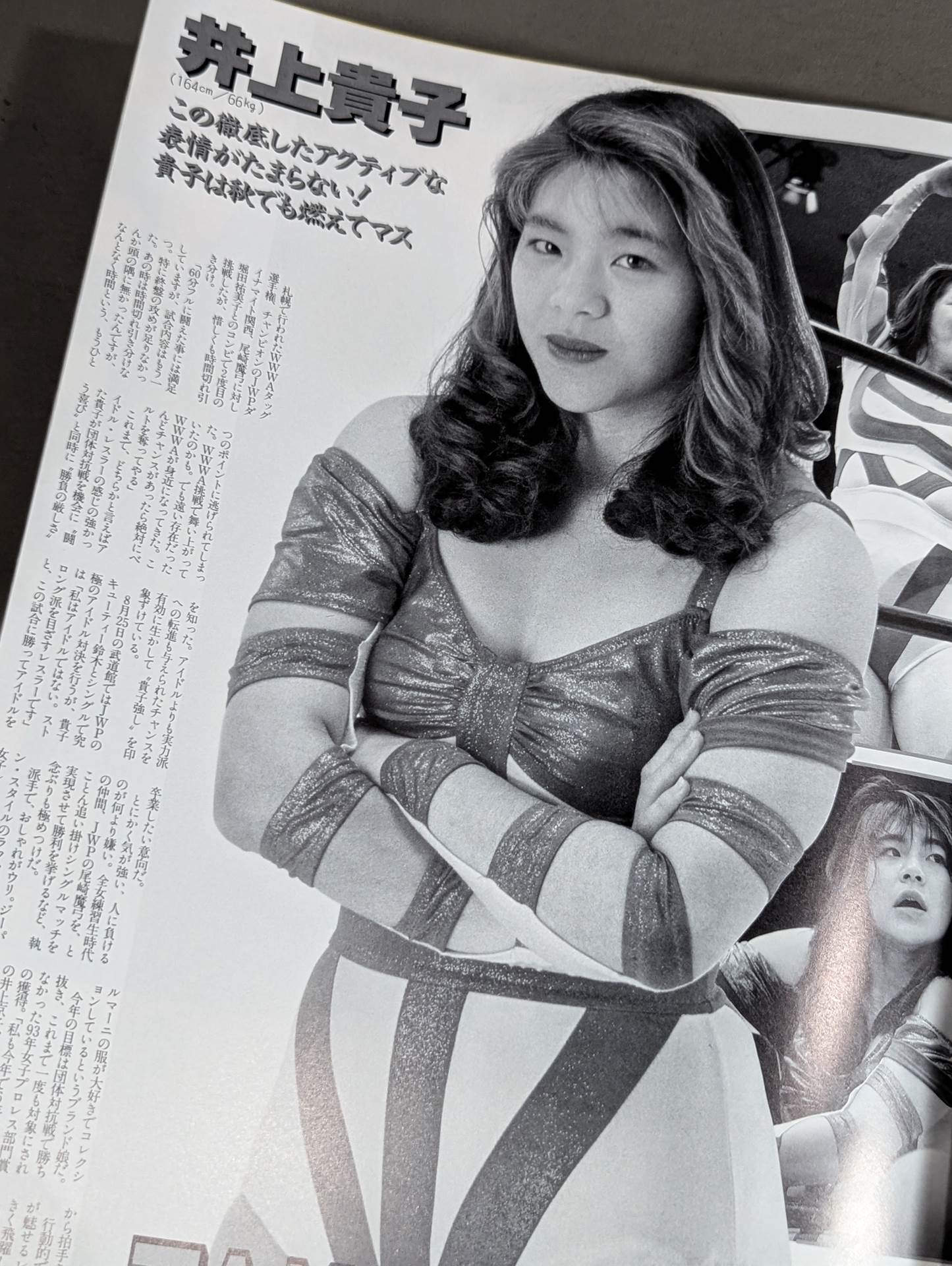 リングスターPROGRAM 1993 / LAST SUMMER&AUTUMN SPECIAL