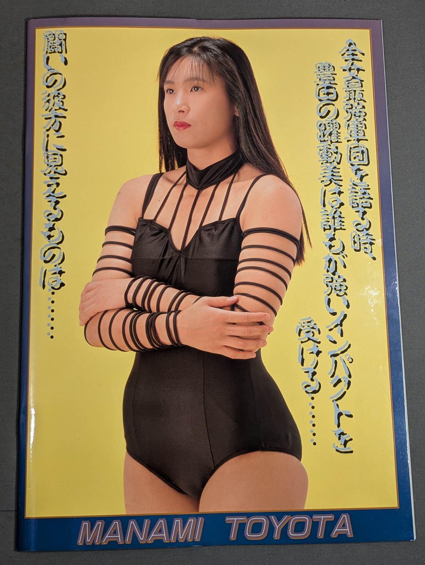 リングスターPROGRAM 1993 / LAST SUMMER&AUTUMN SPECIAL
