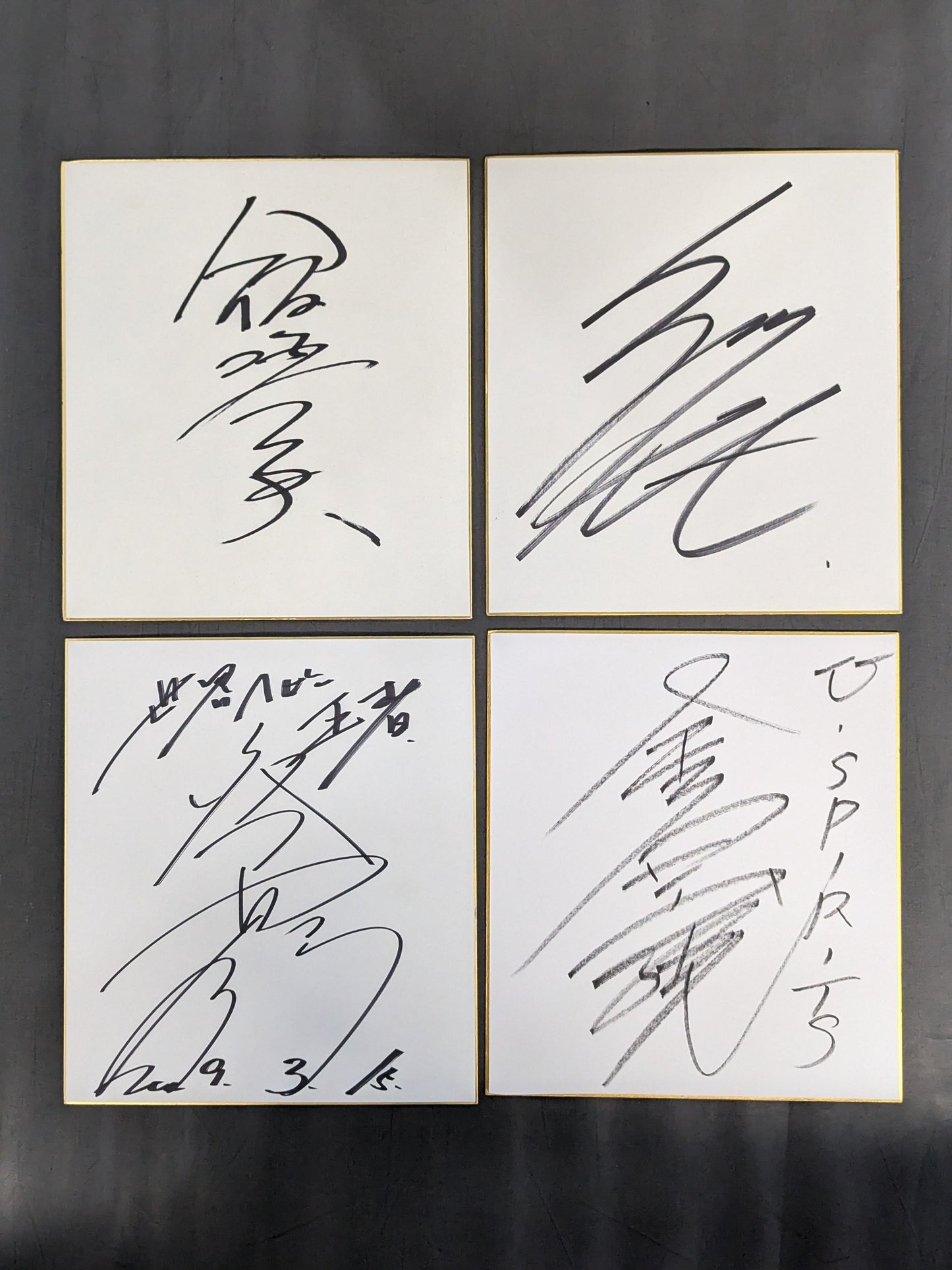 国内プロレスラー サイン色紙セット⑥
