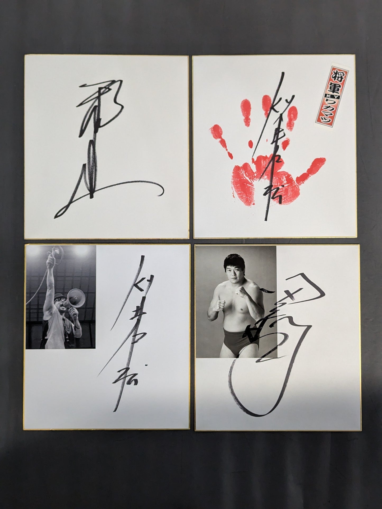 国内プロレスラー サイン色紙セット⑥