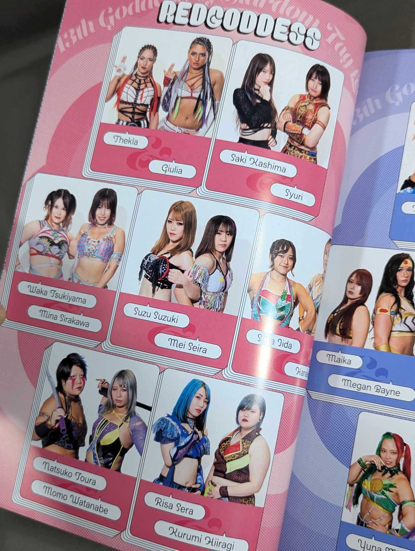 STARDOM OFFICIAL GUIDE BOOK Vol.149