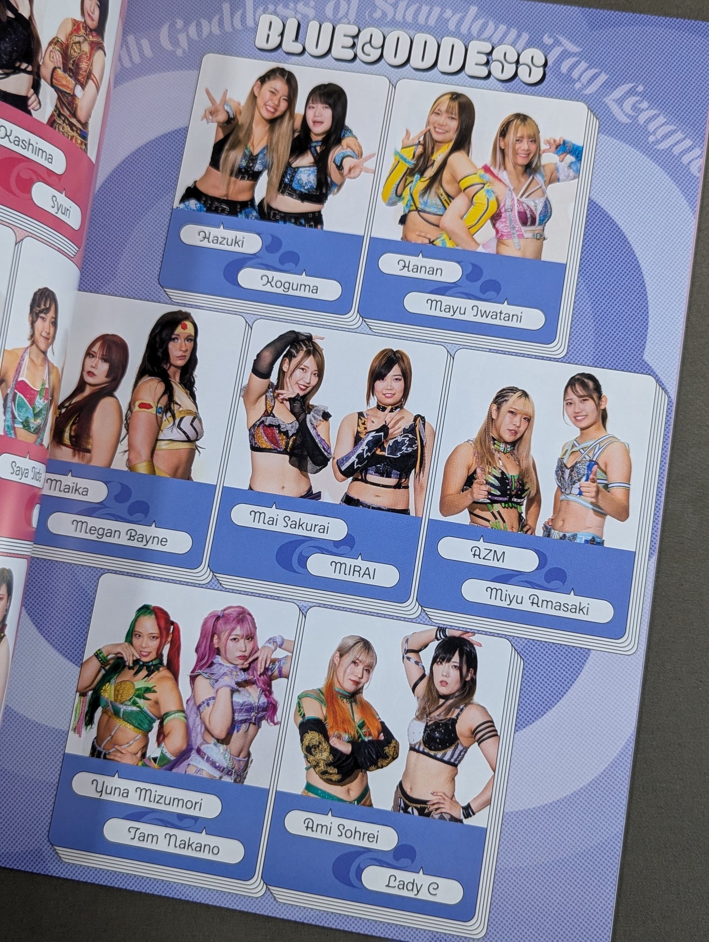 STARDOM OFFICIAL GUIDE BOOK Vol.149