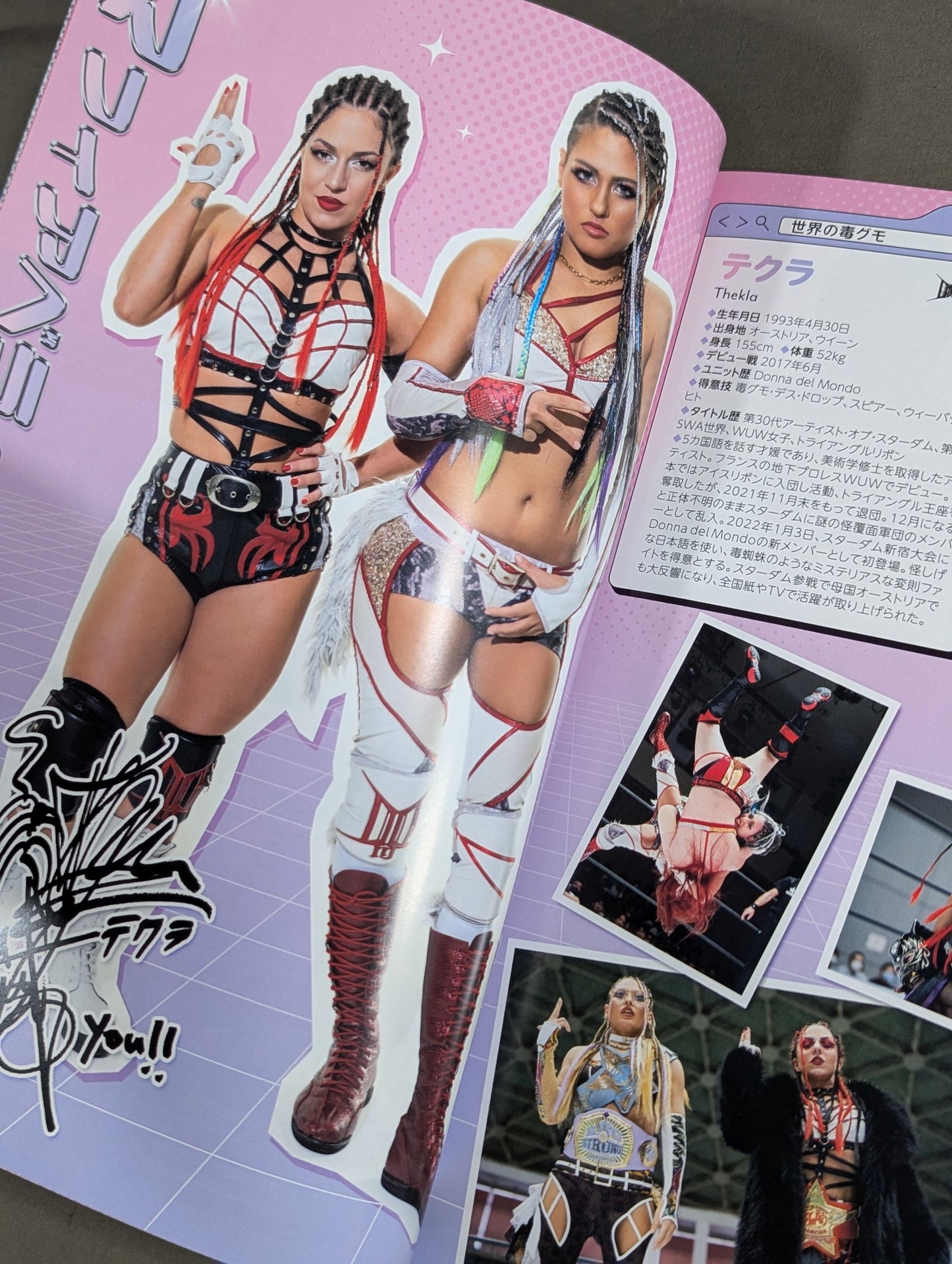 STARDOM OFFICIAL GUIDE BOOK Vol.149