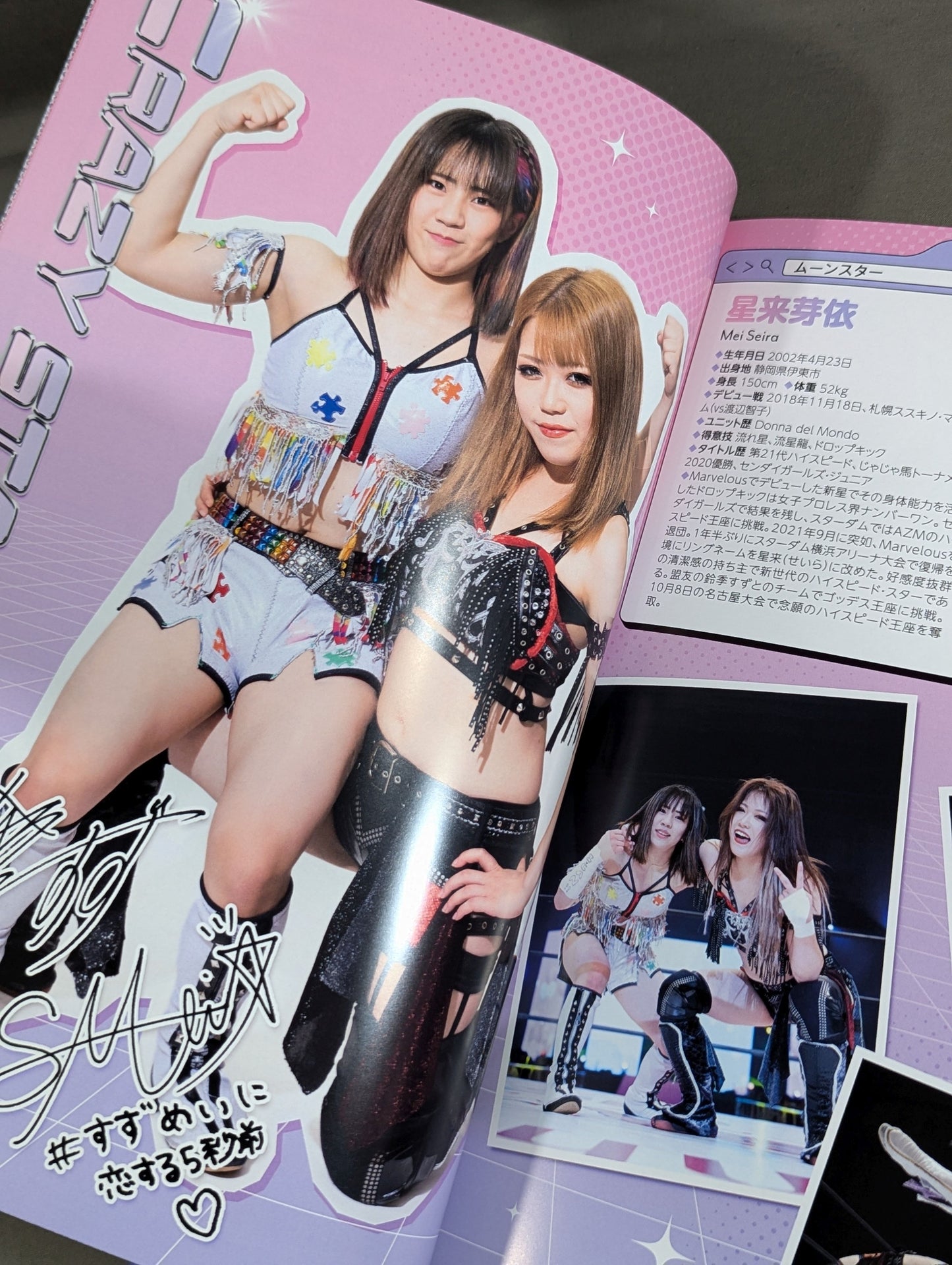 STARDOM OFFICIAL GUIDE BOOK Vol.149